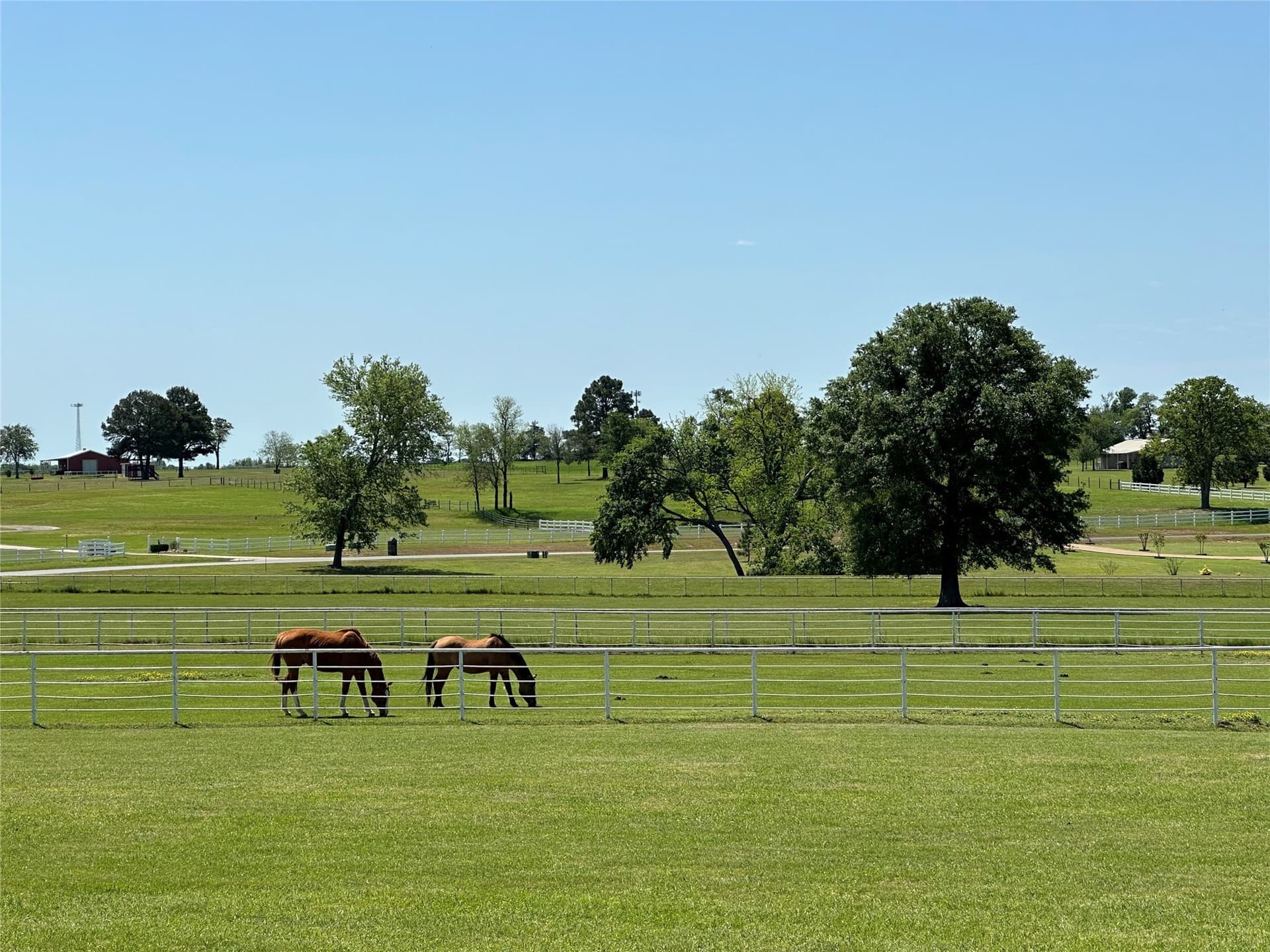 10.31 acres in Smith County - photo 9