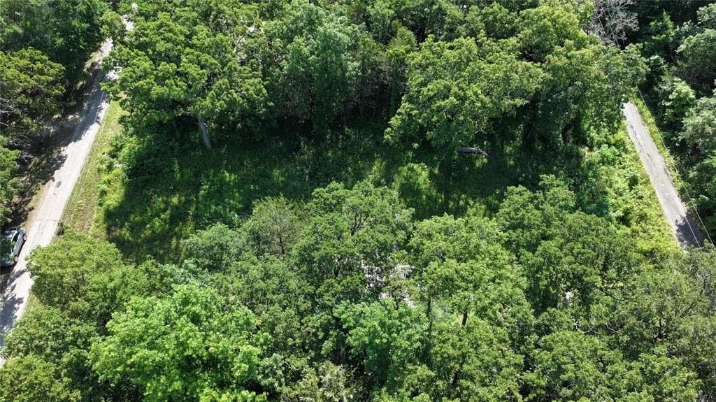 0.64 acres in Hunt County gallery image 2