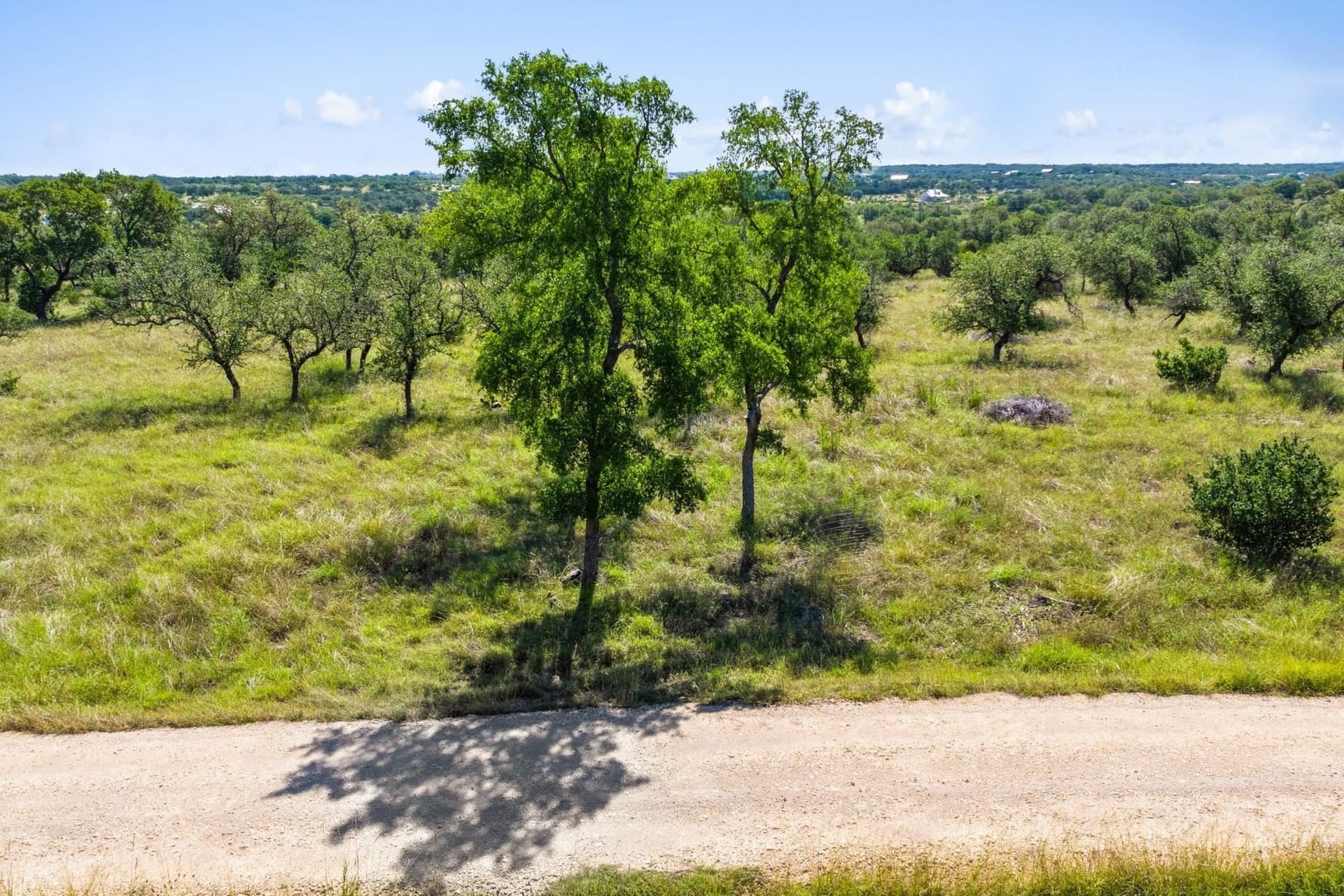 25 acres in Blanco County - photo 26