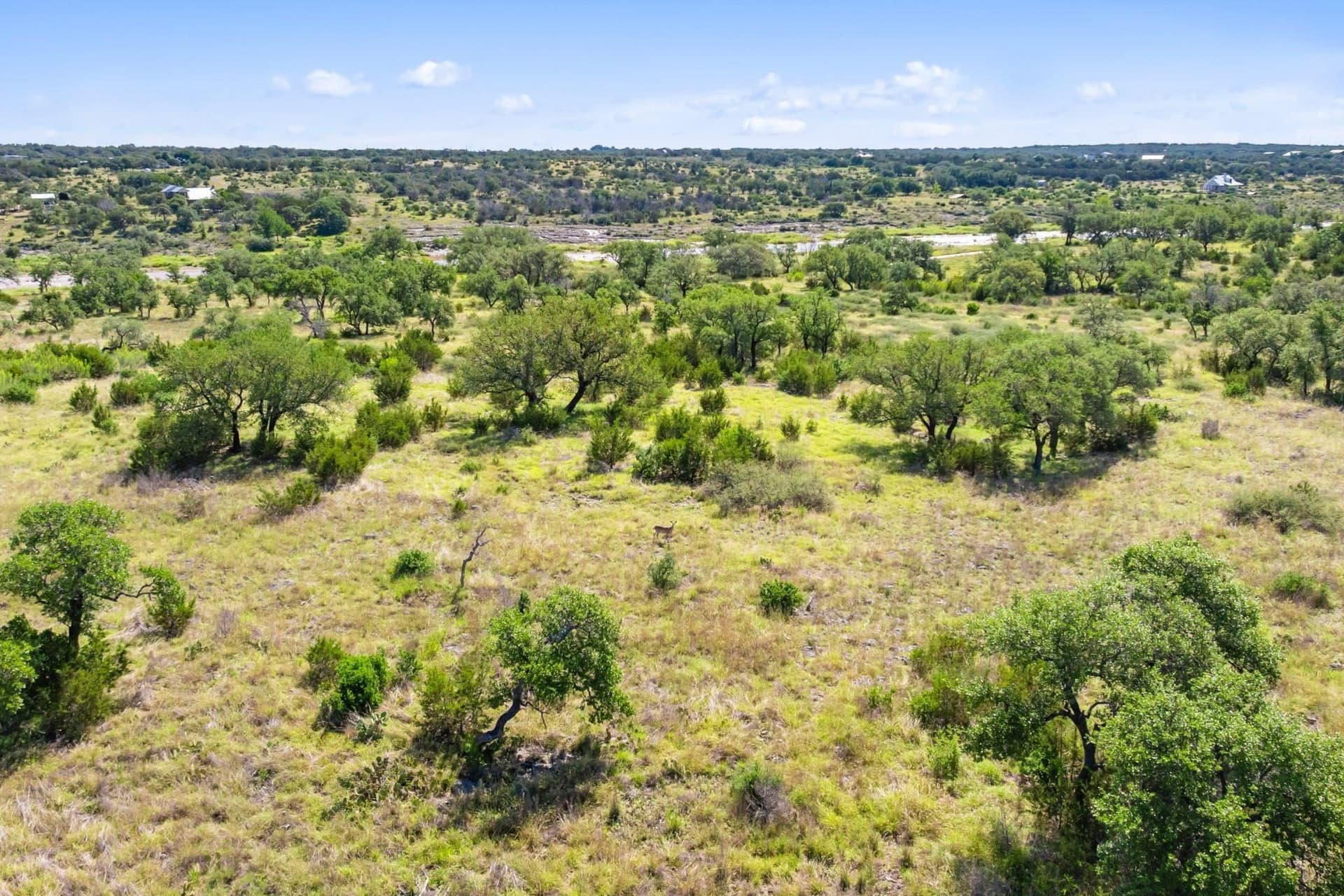 25 acres in Blanco County - photo 13