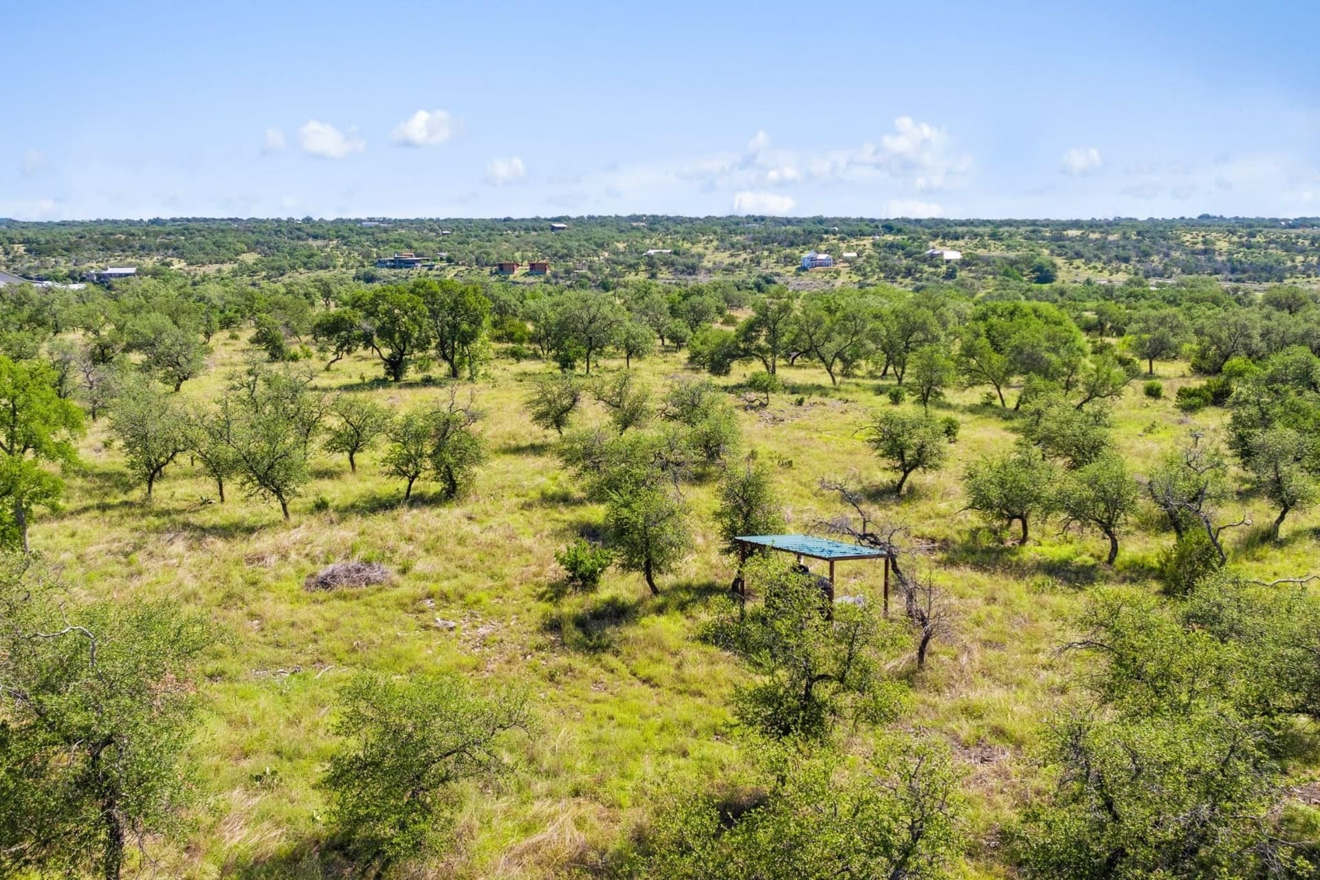 25 acres in Blanco County - photo 14