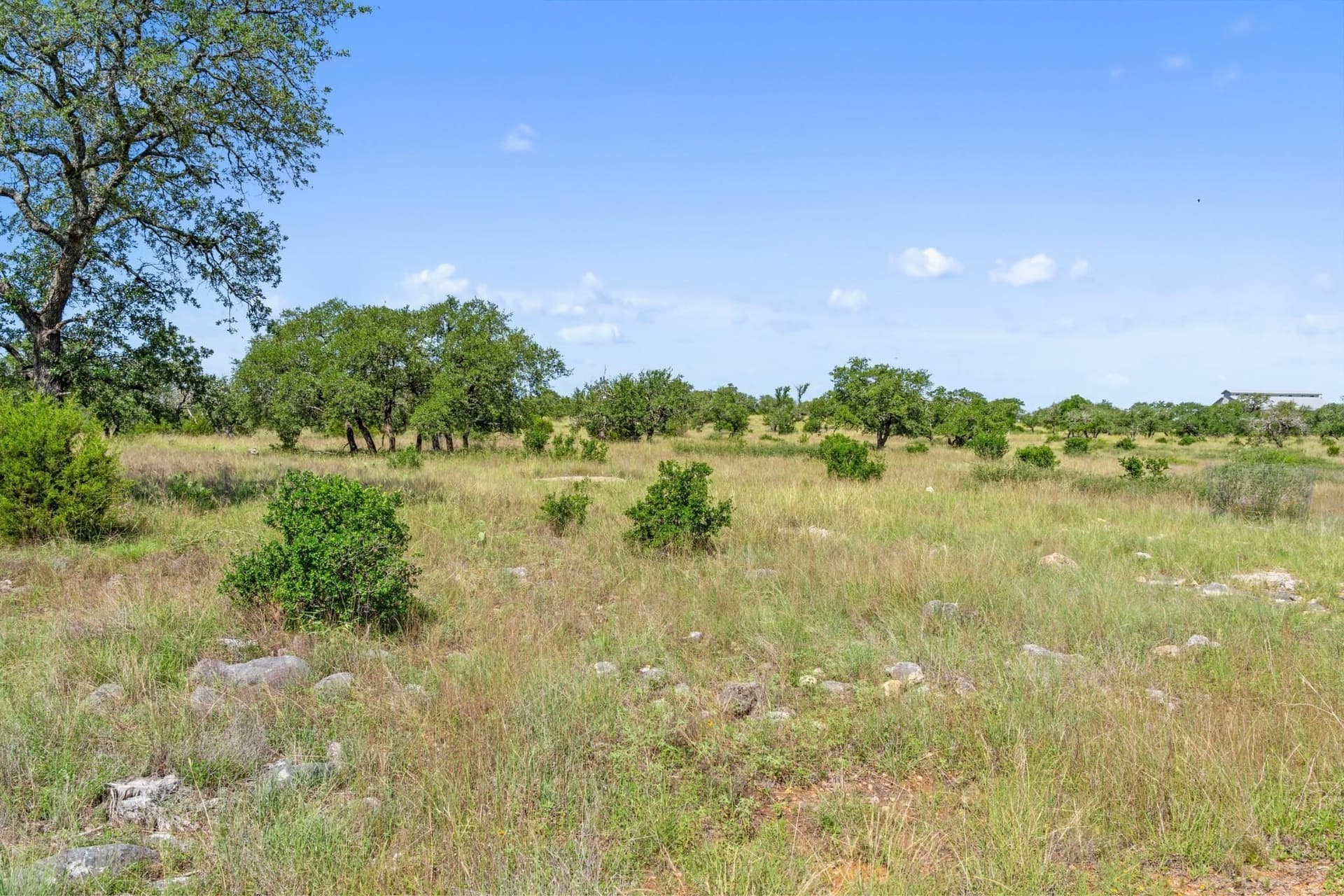 25 acres in Blanco County - photo 30