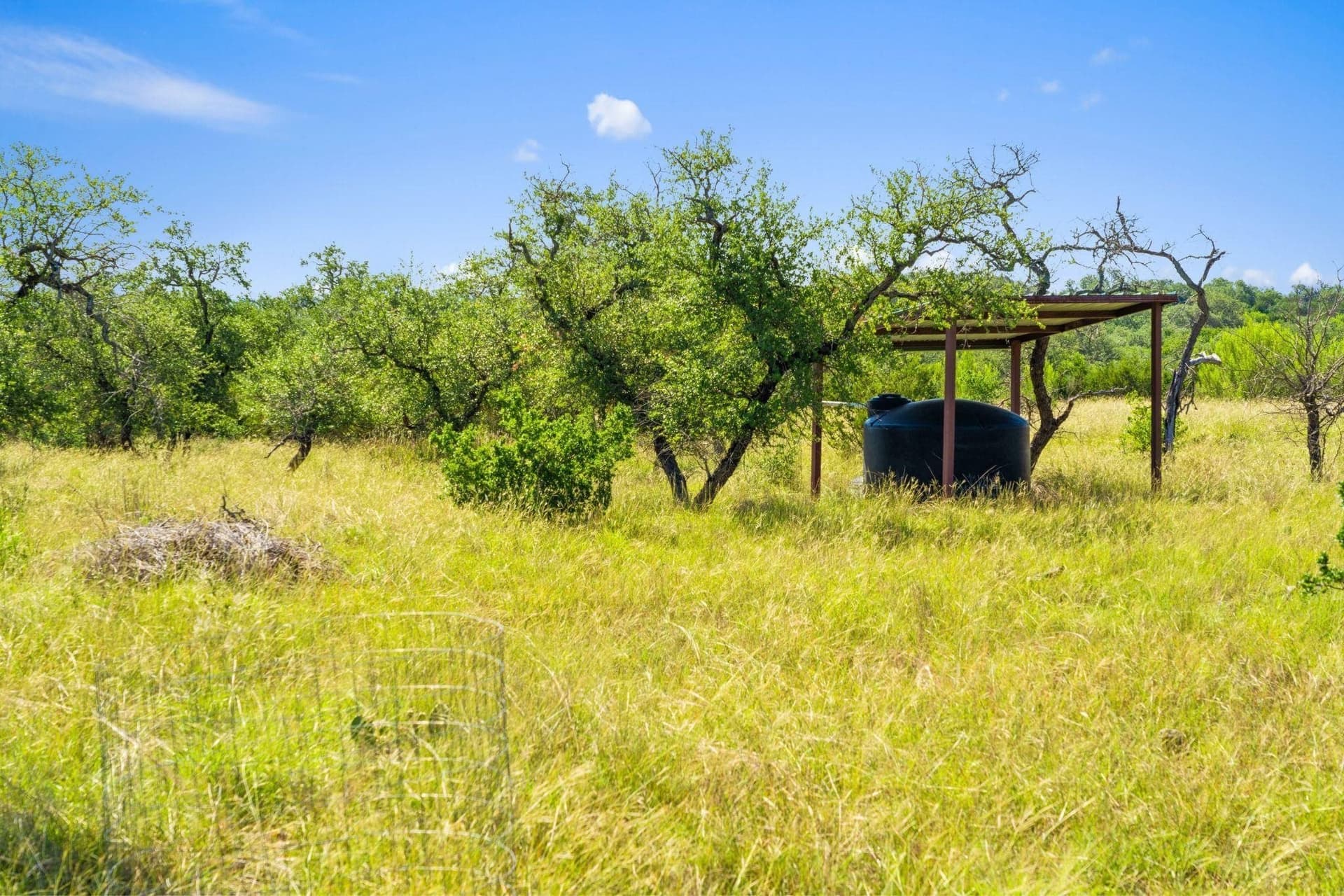 25 acres in Blanco County - photo 28