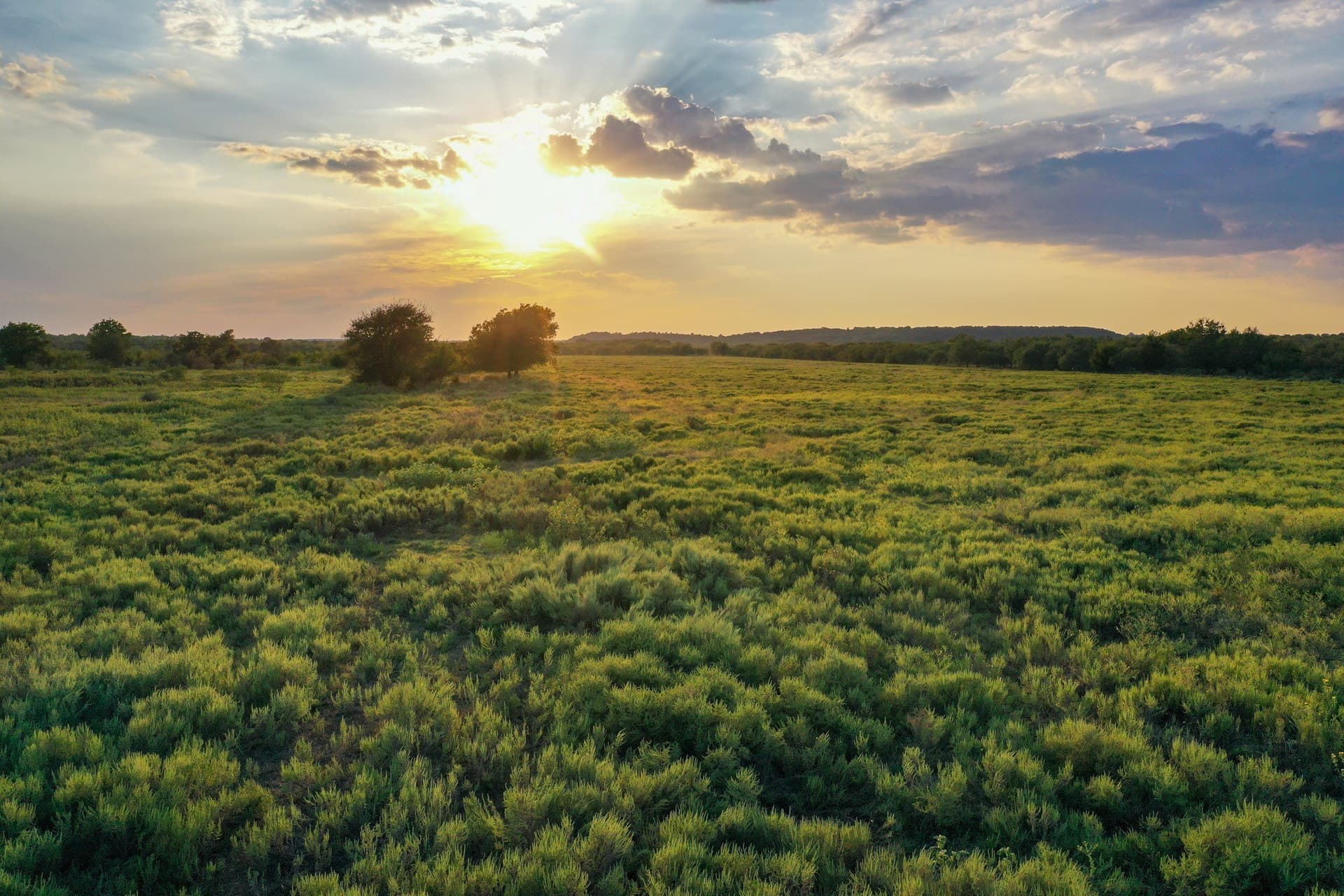 99.97 acres in Jack County - photo 10
