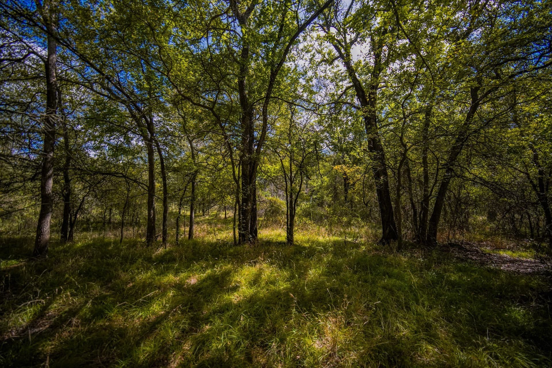 99.97 acres in Jack County - photo 38