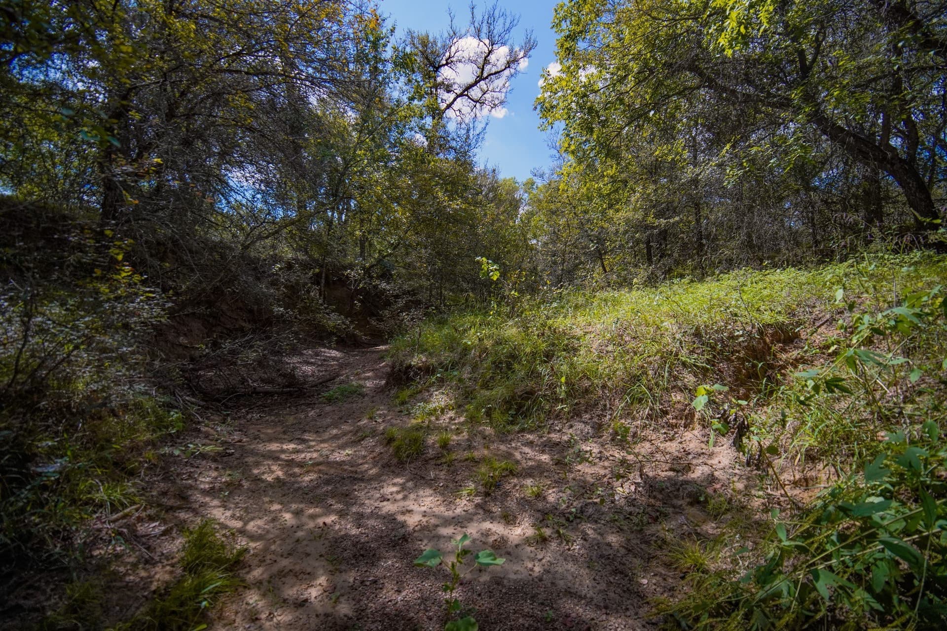 99.97 acres in Jack County - photo 26