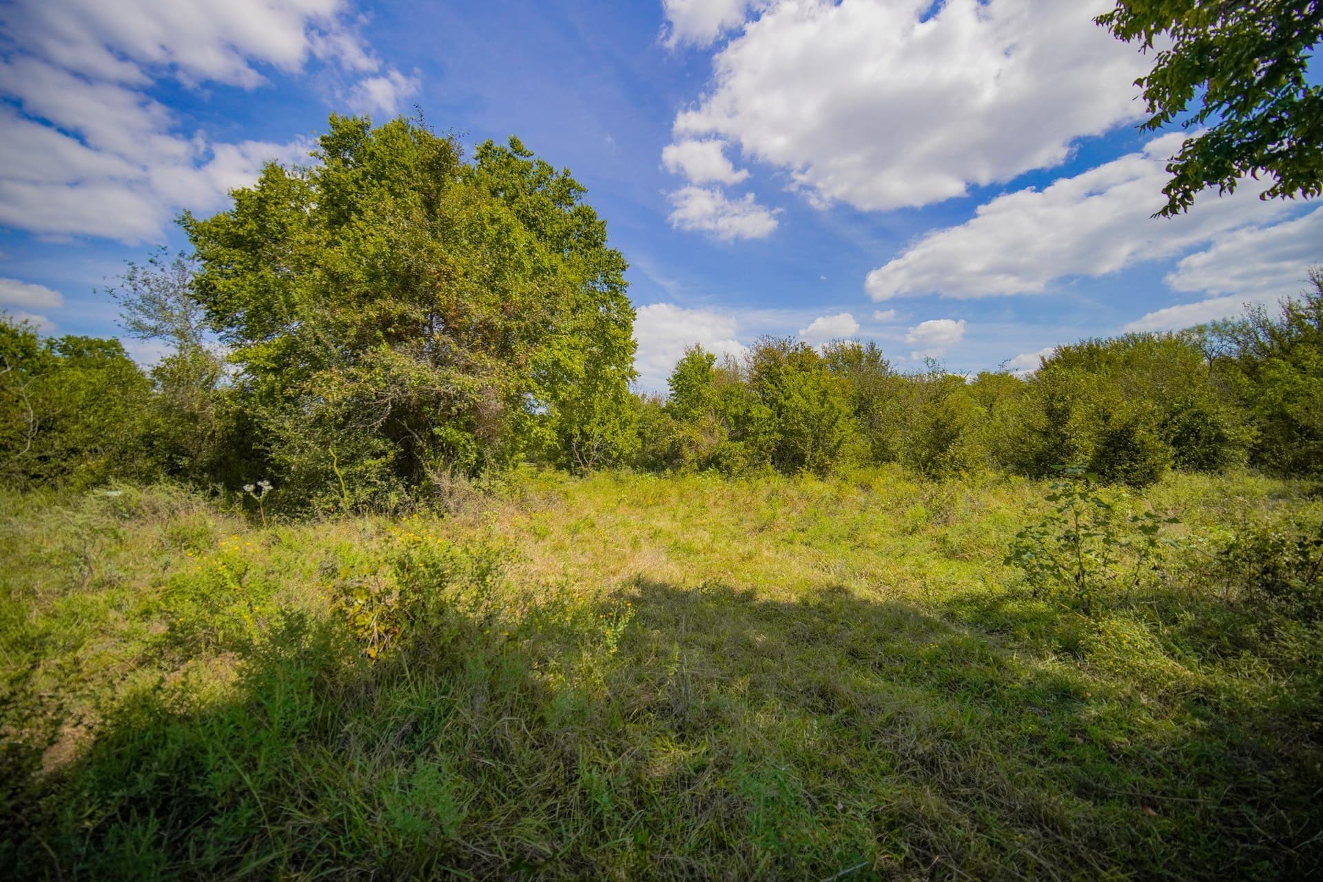 99.97 acres in Jack County - photo 32