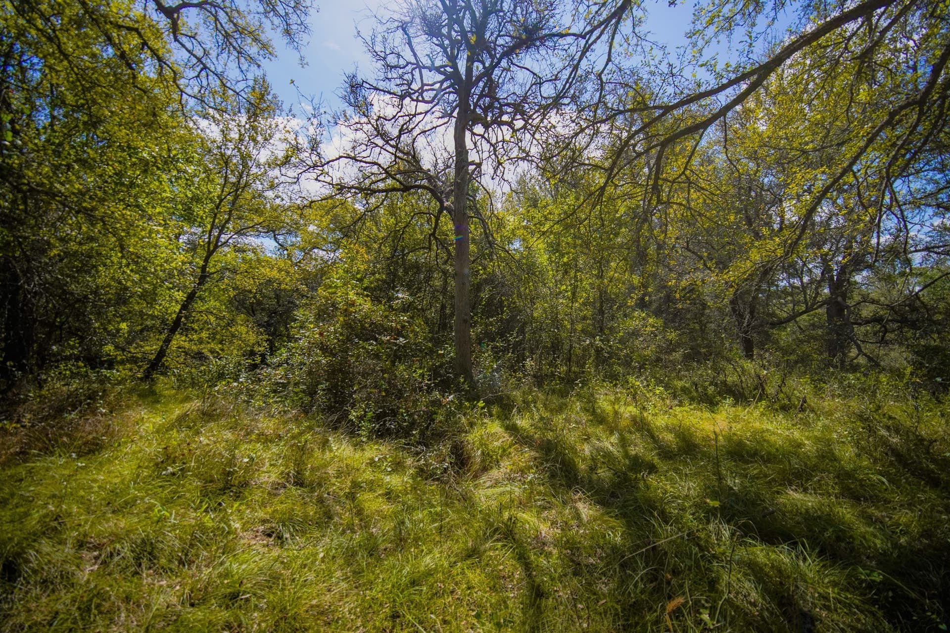 99.97 acres in Jack County - photo 28