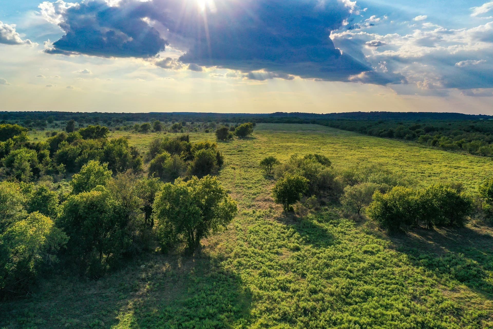 99.97 acres in Jack County gallery image 2