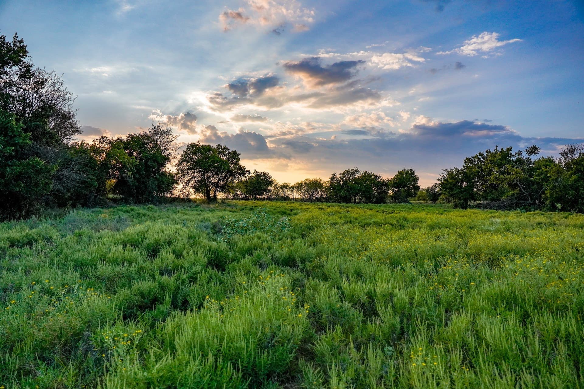 99.97 acres in Jack County - photo 24