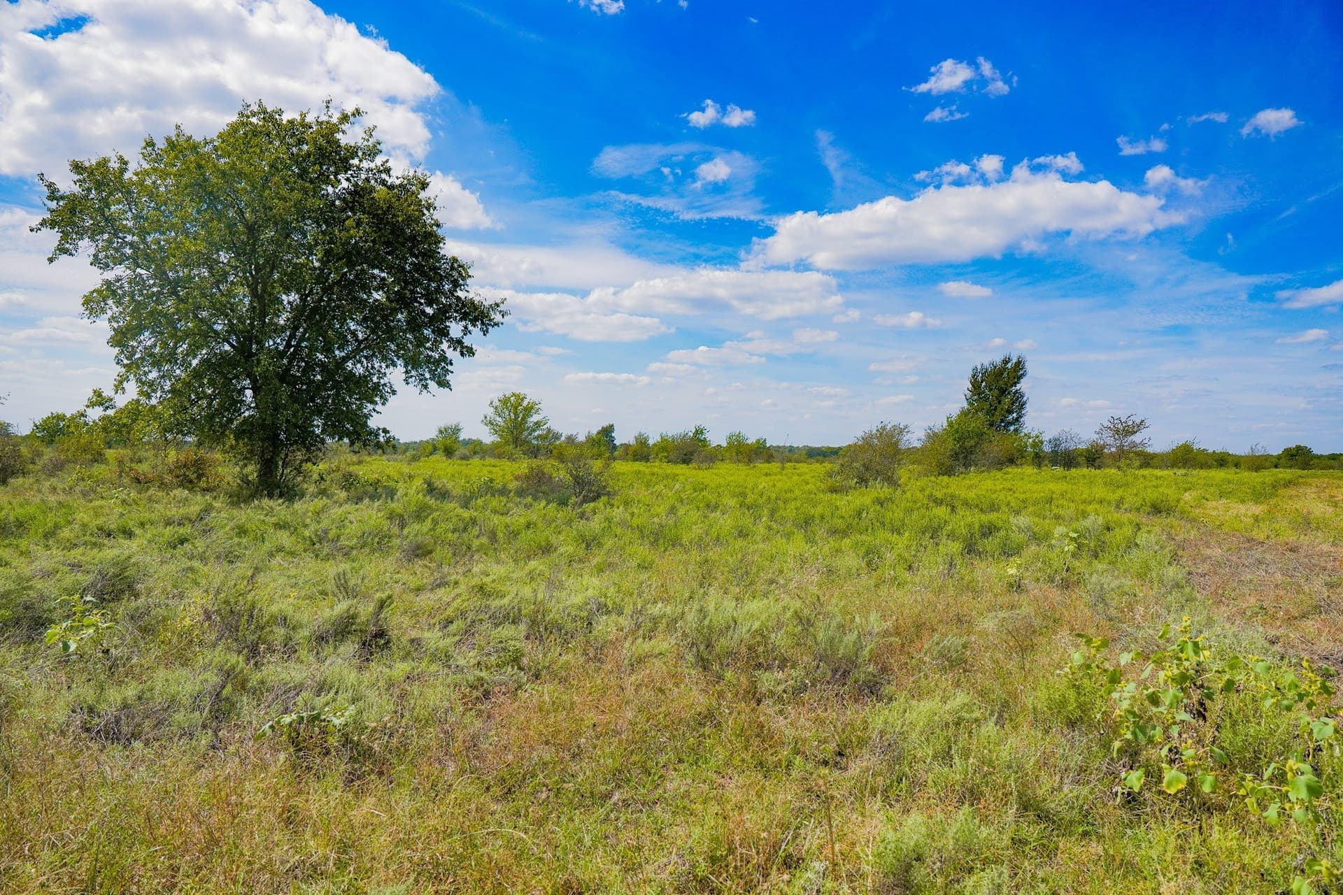 99.97 acres in Jack County - photo 35