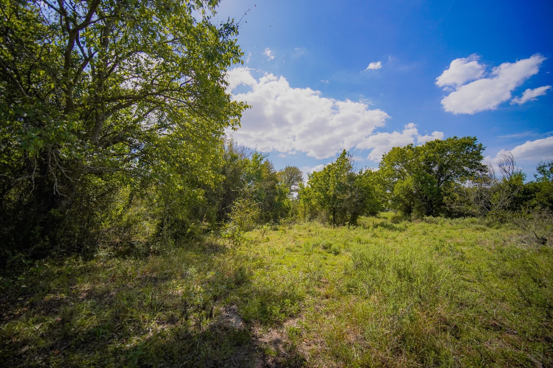 99.97 acres in Jack County - photo 30