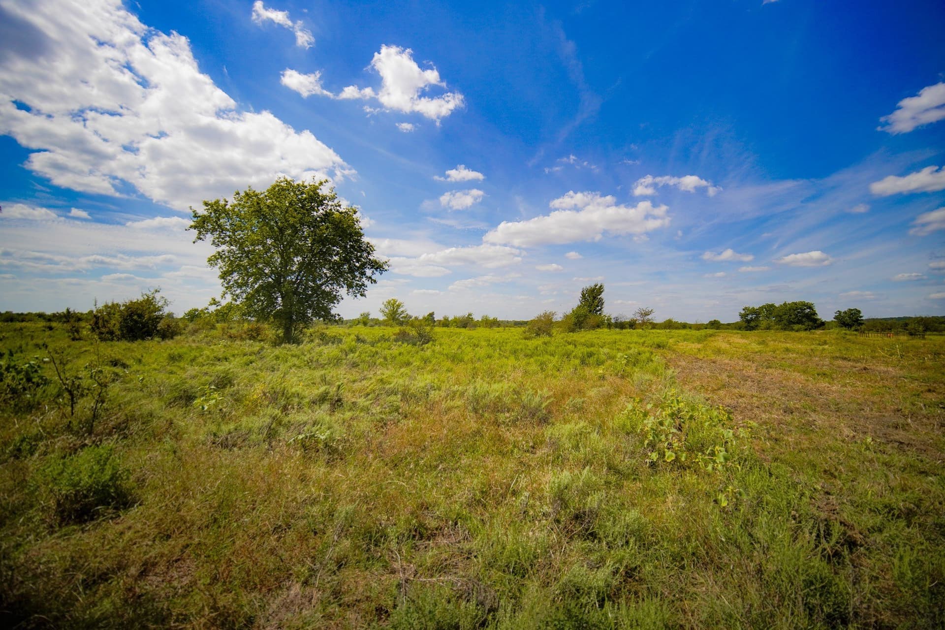 99.97 acres in Jack County - photo 34