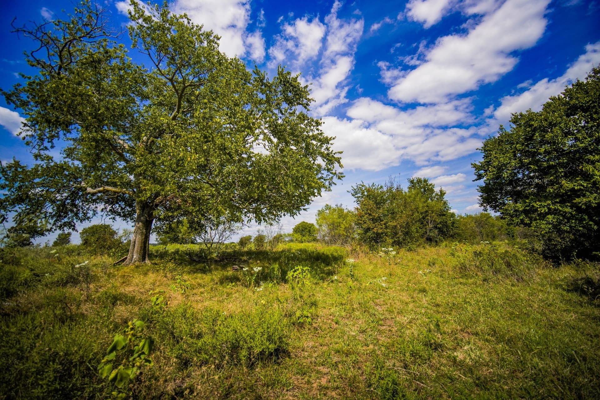 99.97 acres in Jack County - photo 33
