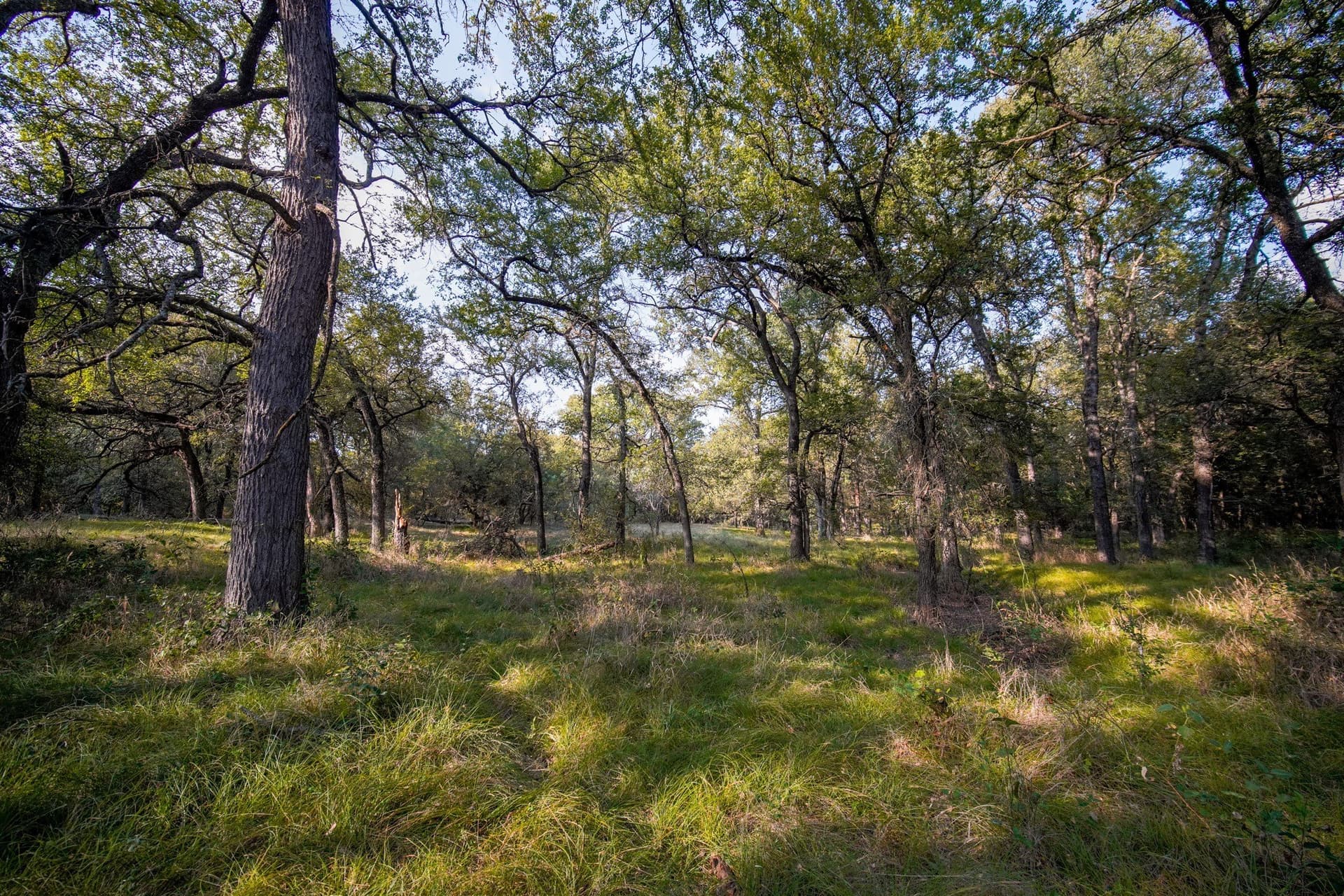 99.97 acres in Jack County - photo 18