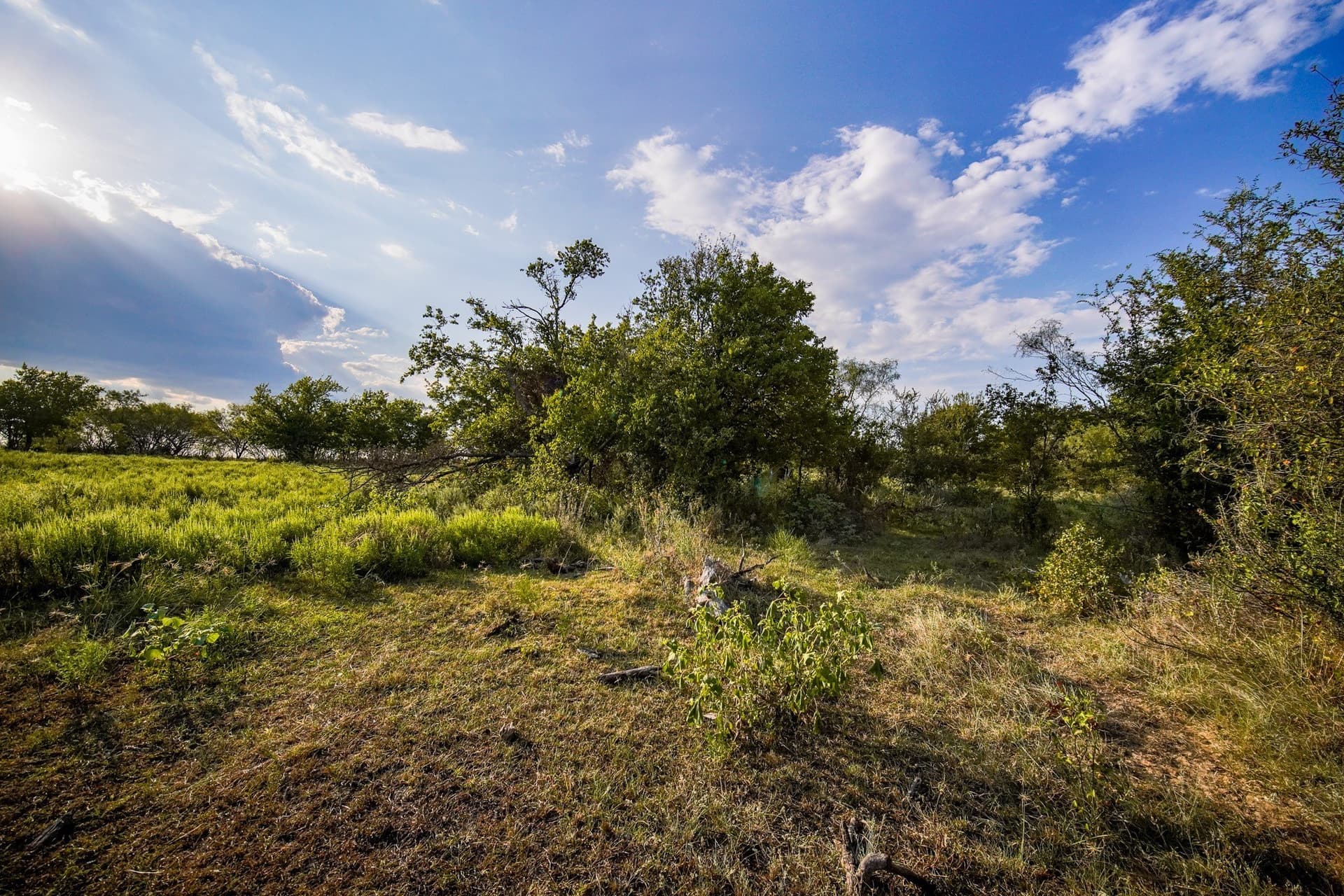 99.97 acres in Jack County - photo 19
