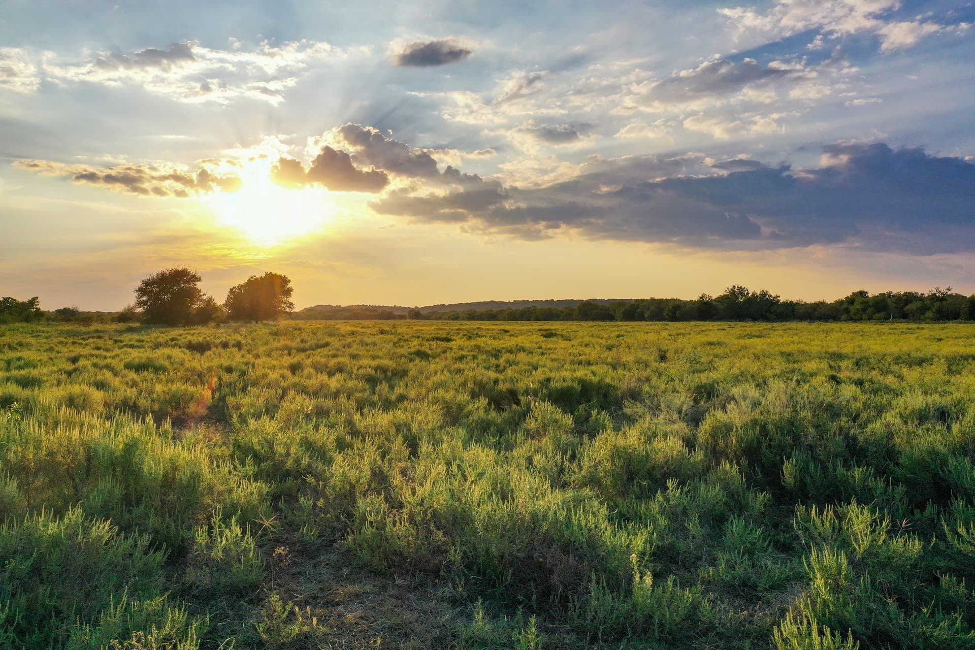 99.97 acres in Jack County - photo 8