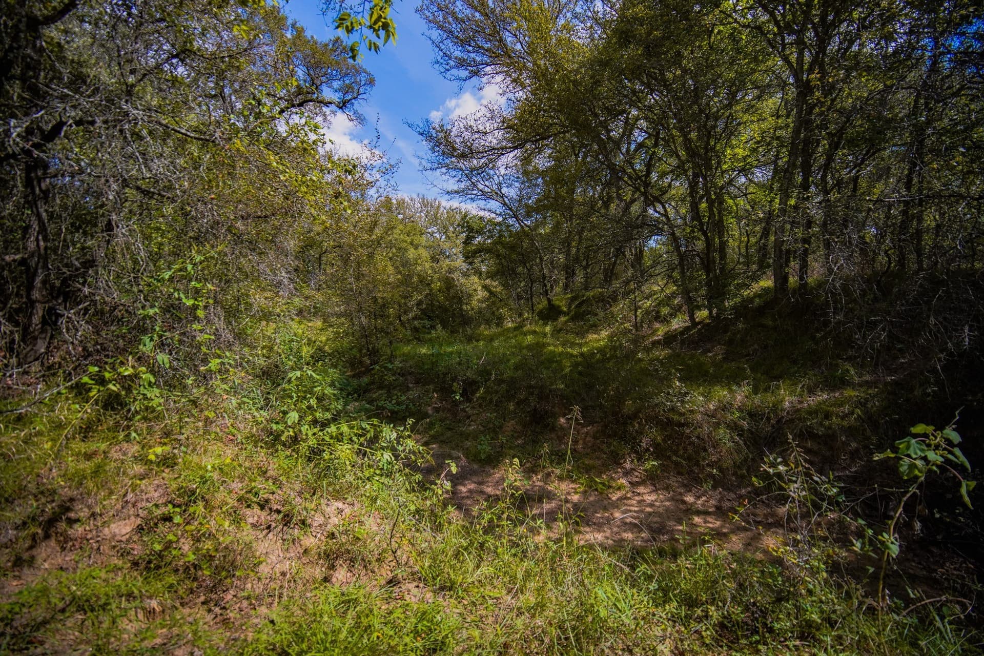 99.97 acres in Jack County - photo 27