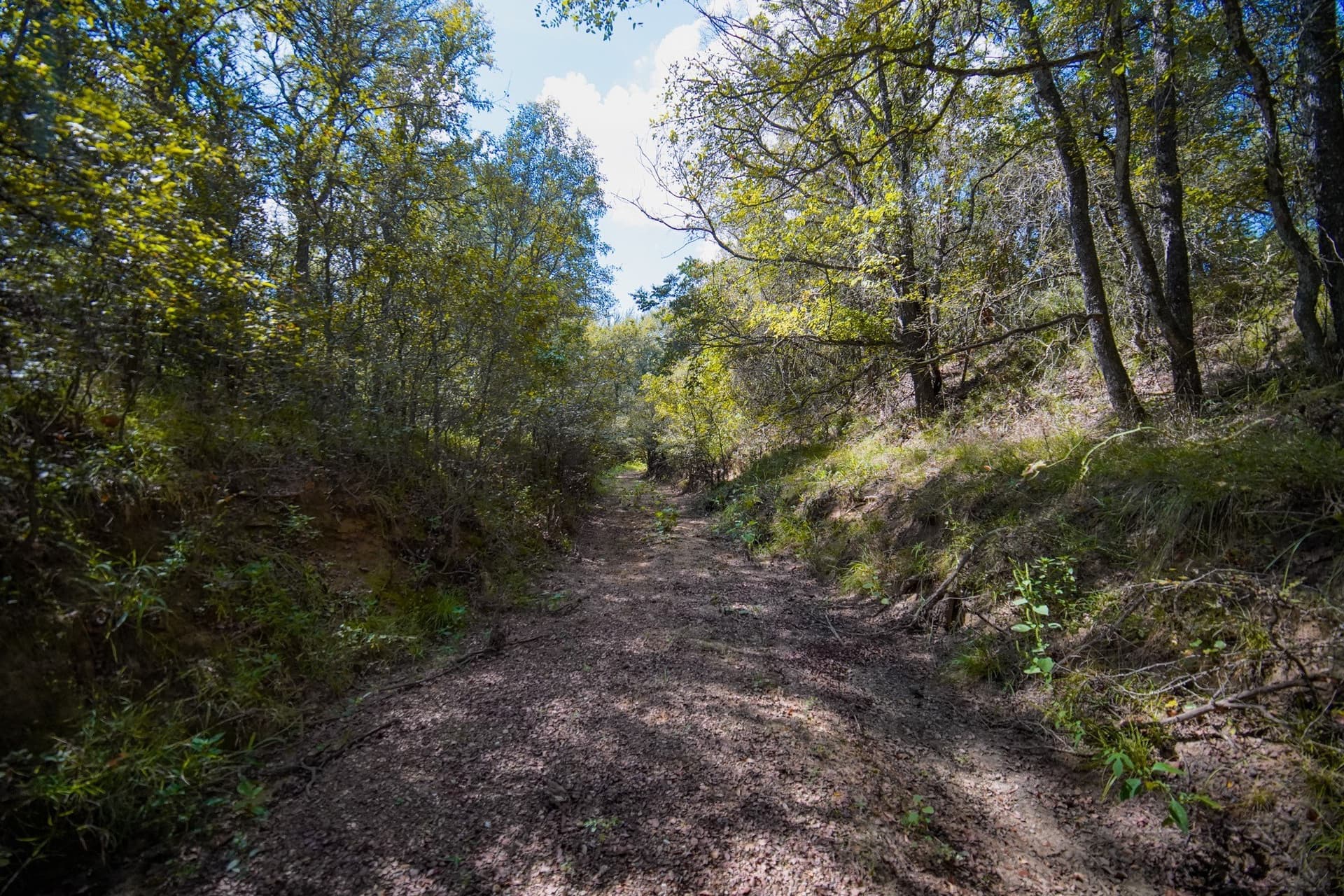 99.97 acres in Jack County - photo 25