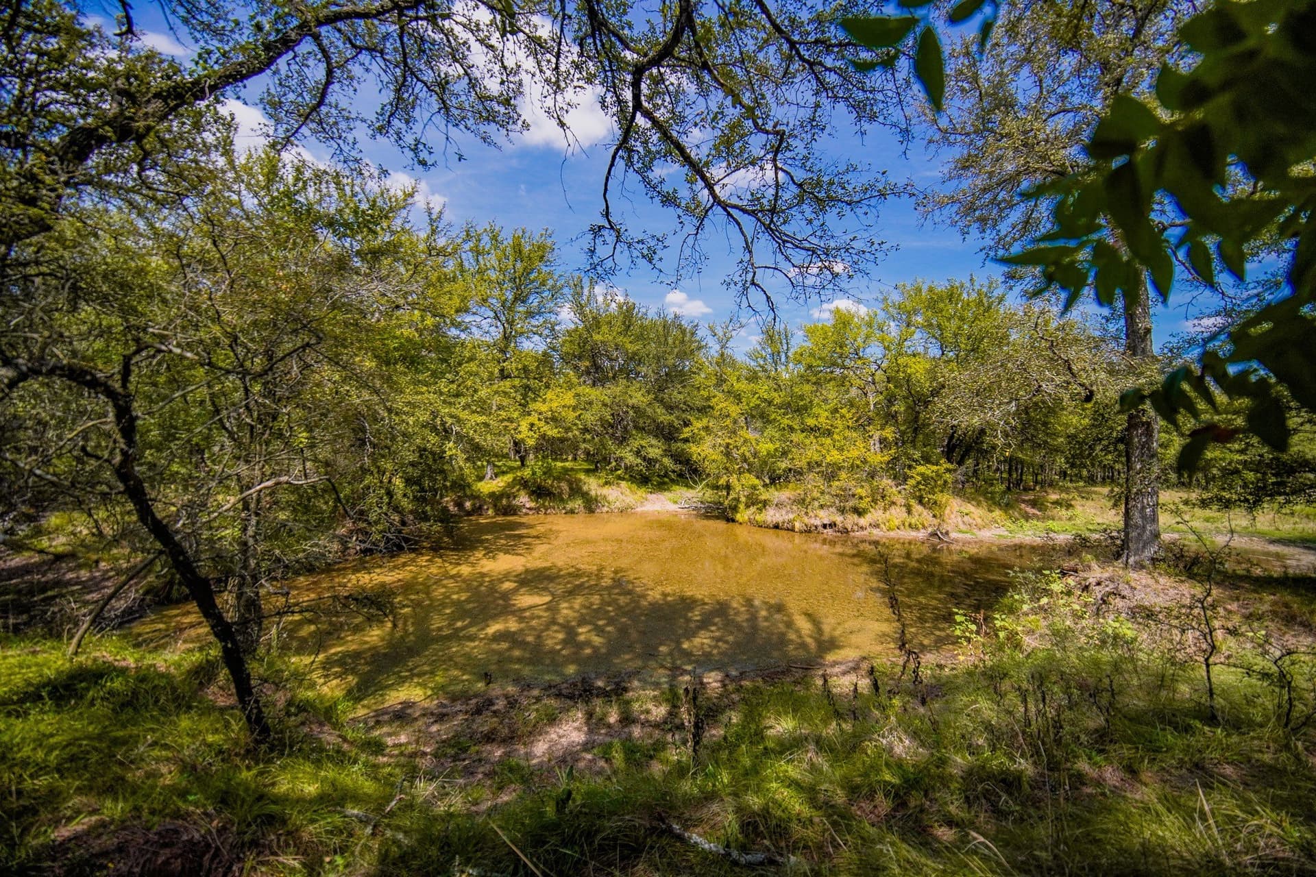 99.97 acres in Jack County - photo 39