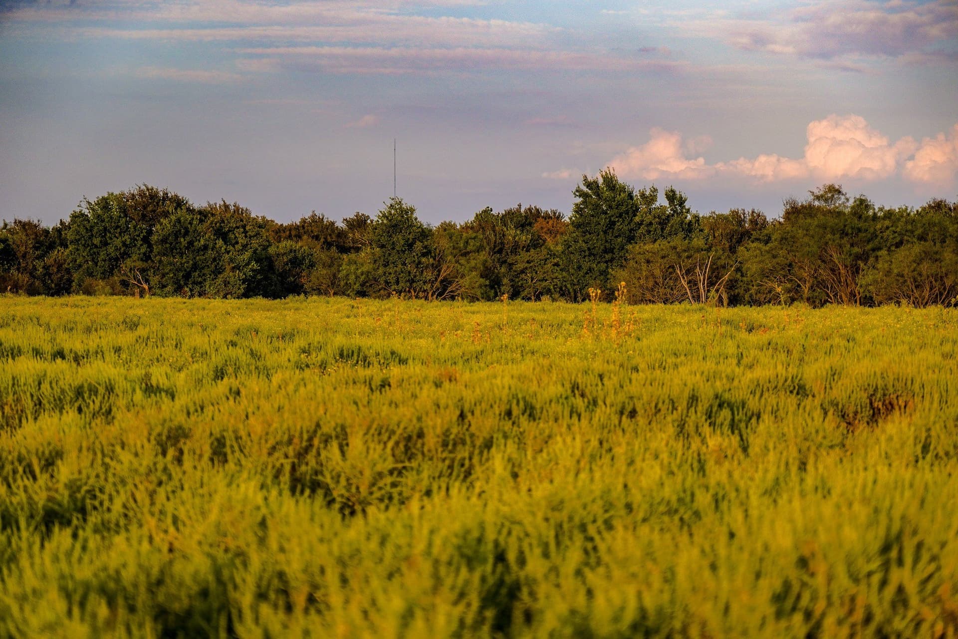 99.97 acres in Jack County - photo 22