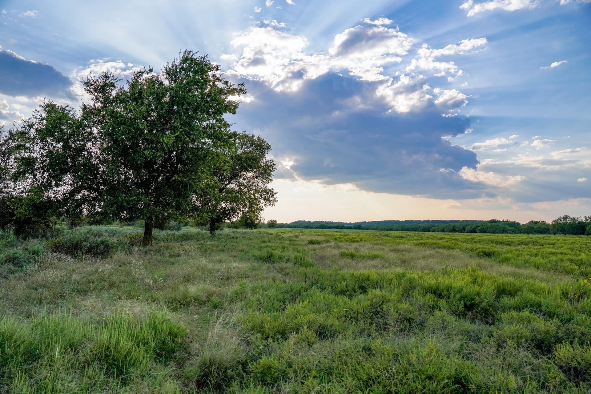 99.97 acres in Jack County - photo 20
