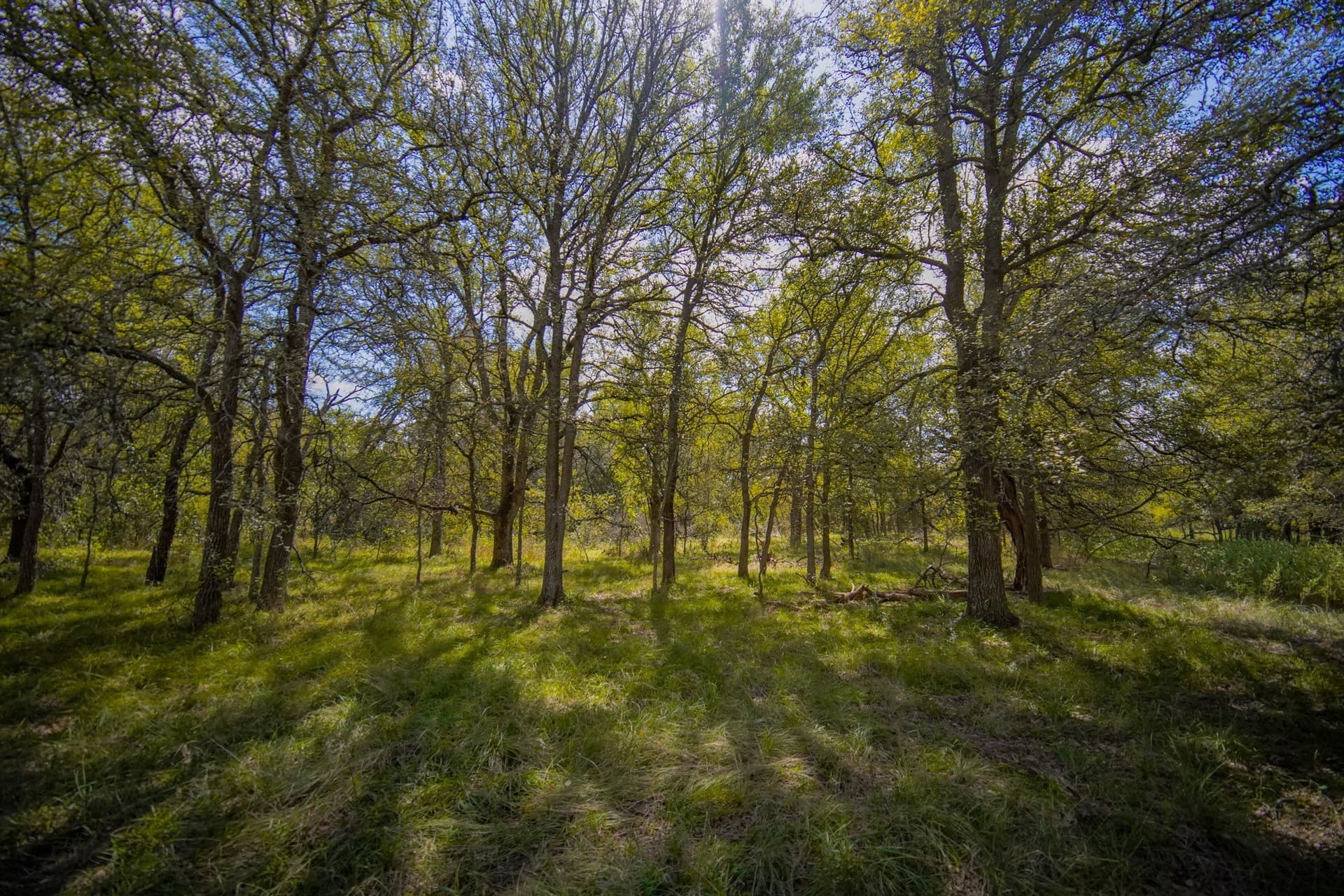 99.97 acres in Jack County - photo 29