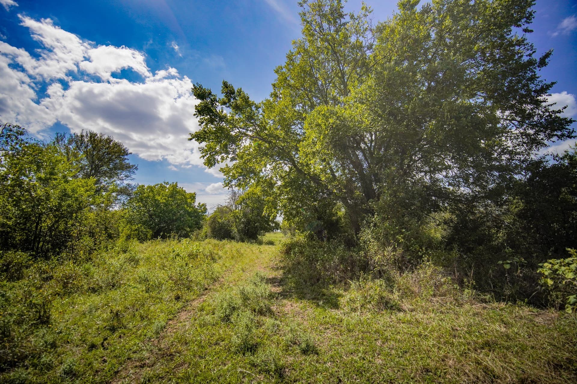 99.97 acres in Jack County - photo 31