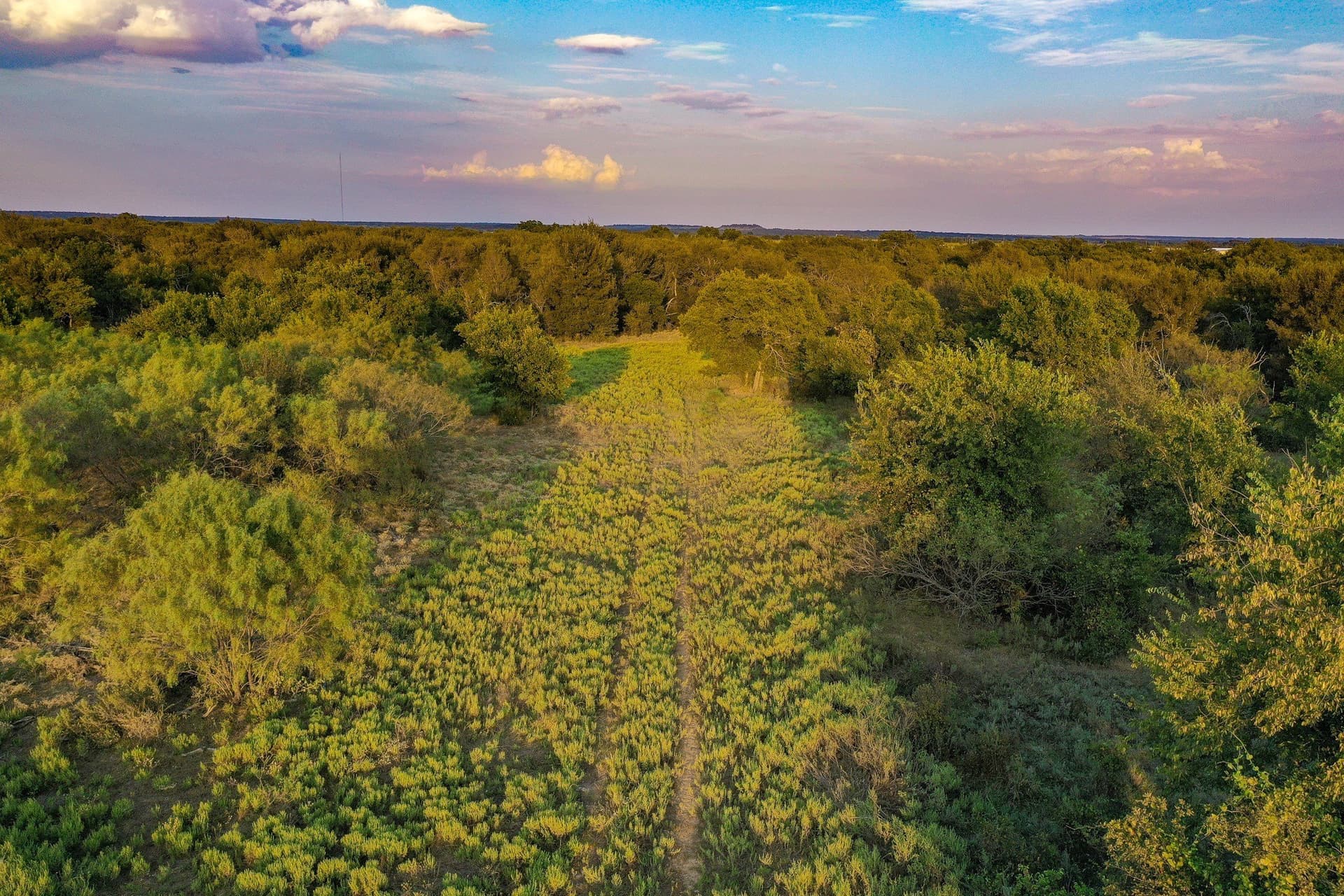 99.97 acres in Jack County - photo 11