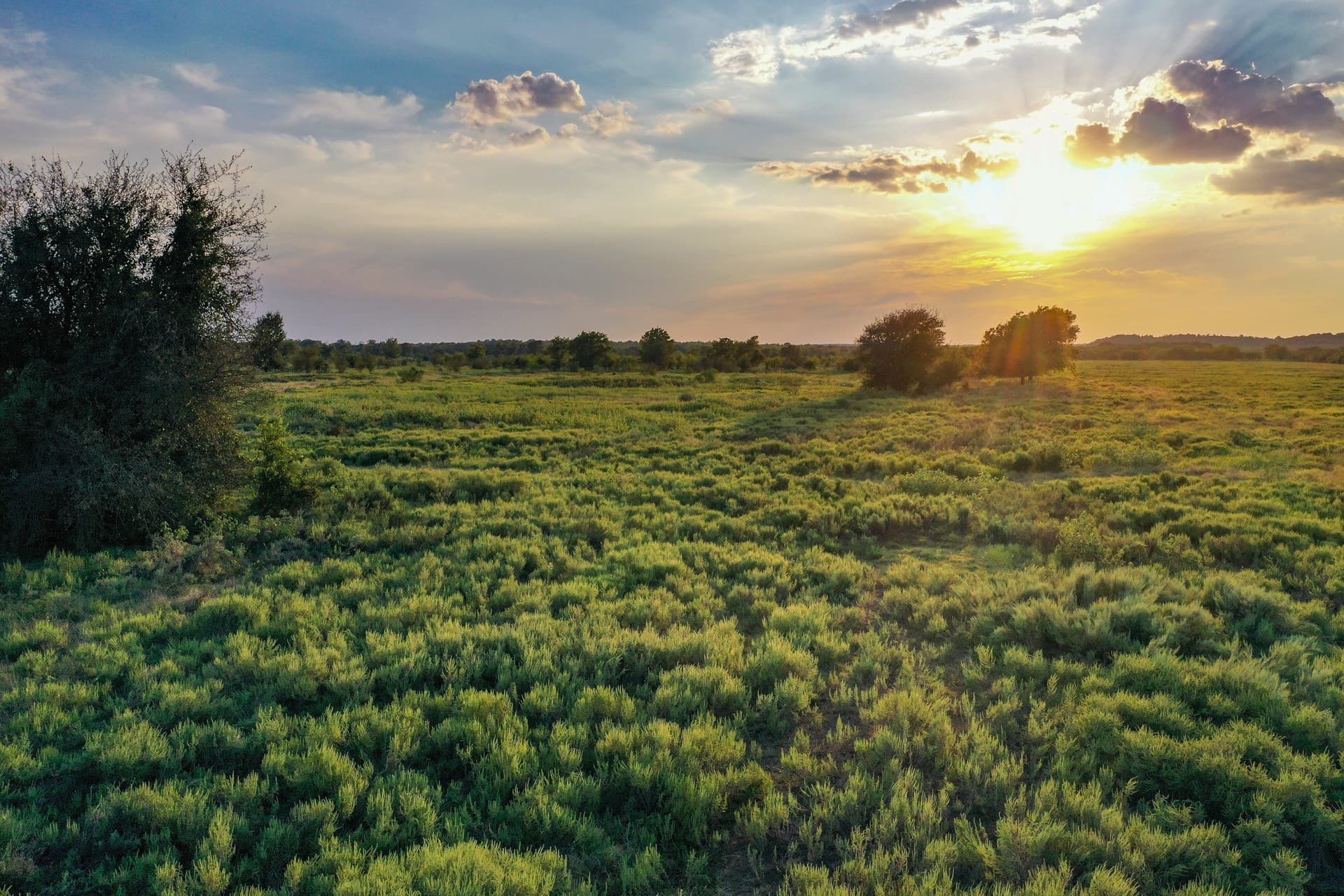 99.97 acres in Jack County - photo 9
