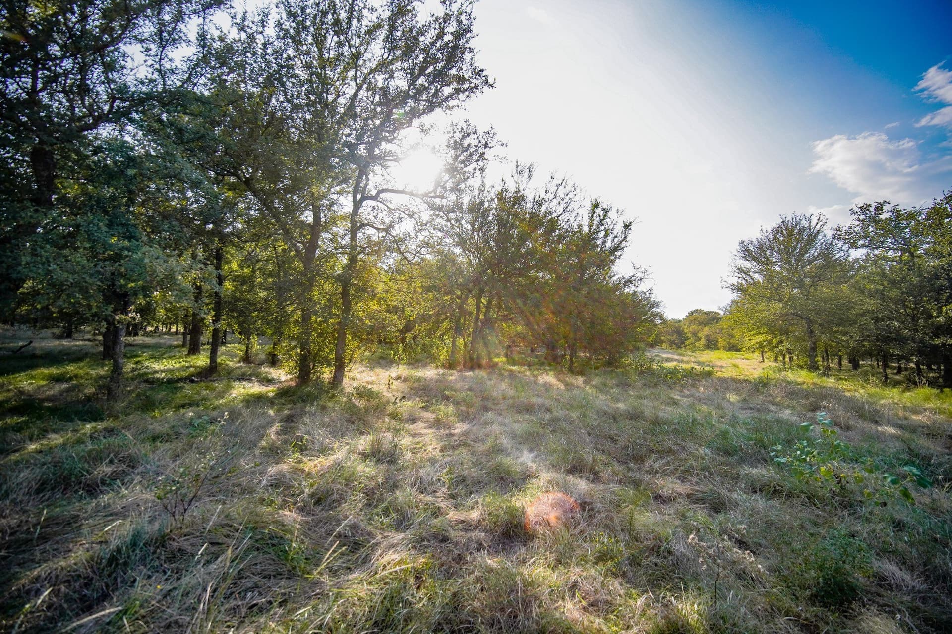 99.97 acres in Jack County - photo 14