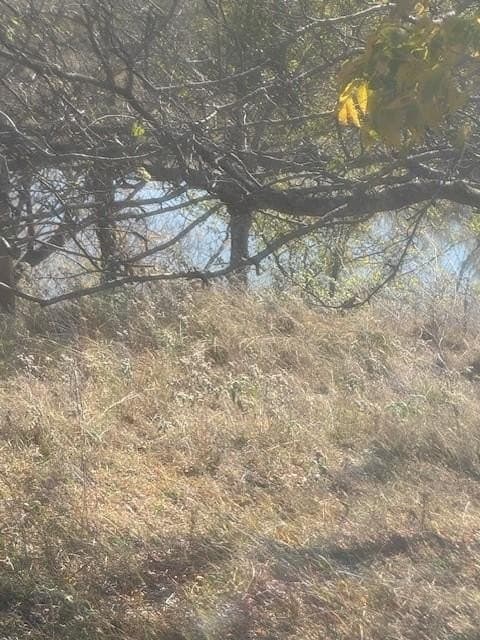 9.92 acres in Palo Pinto County gallery image 2