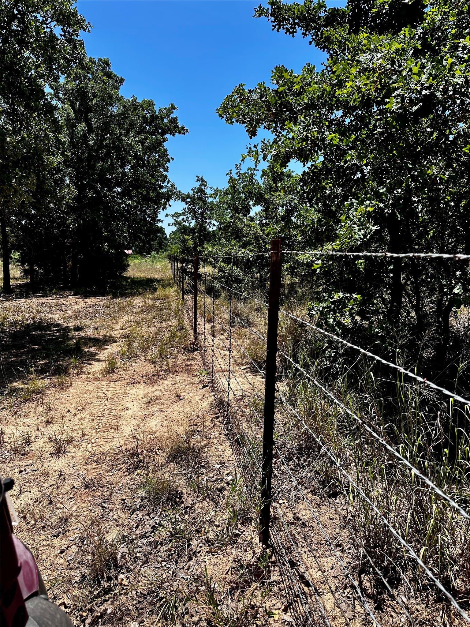66.67 acres in Callahan County - photo 28