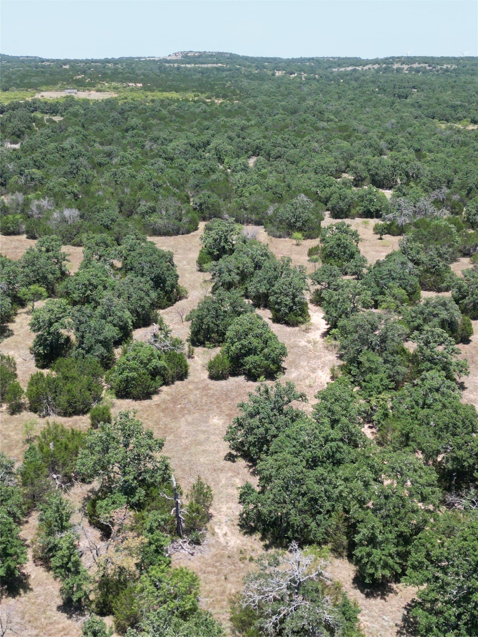 66.67 acres in Callahan County - photo 23