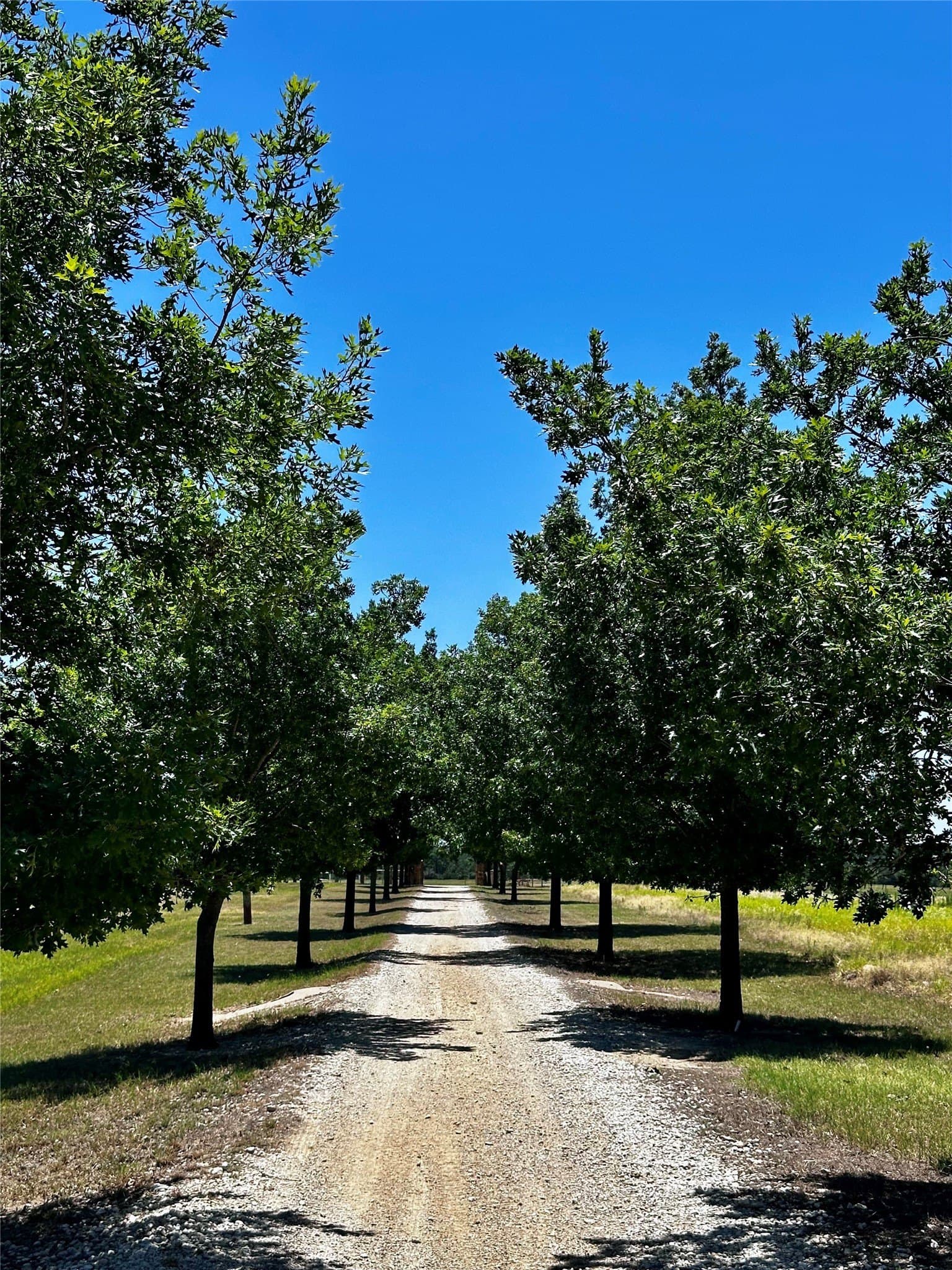 66.67 acres in Callahan County - photo 2
