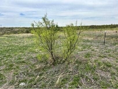 0 acres in Hutchinson County gallery image 2