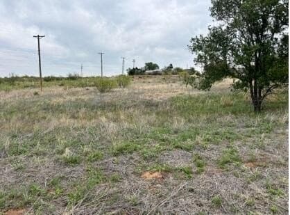 0 acres in Hutchinson County gallery image 4