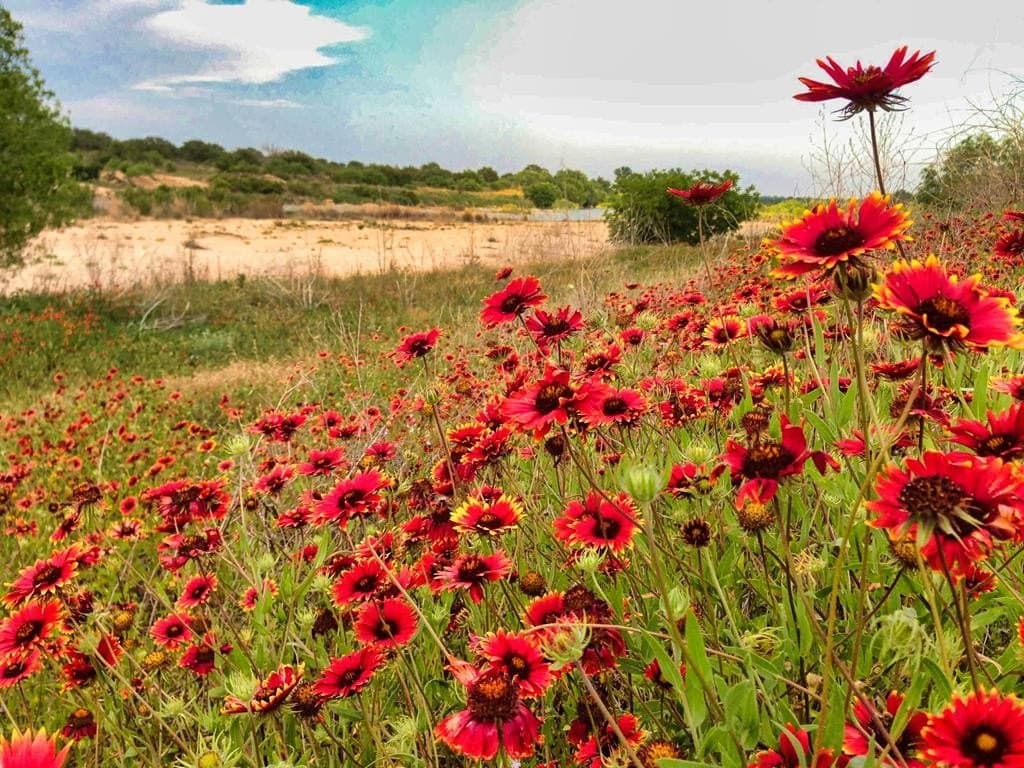 30 acres in Mason County featured view