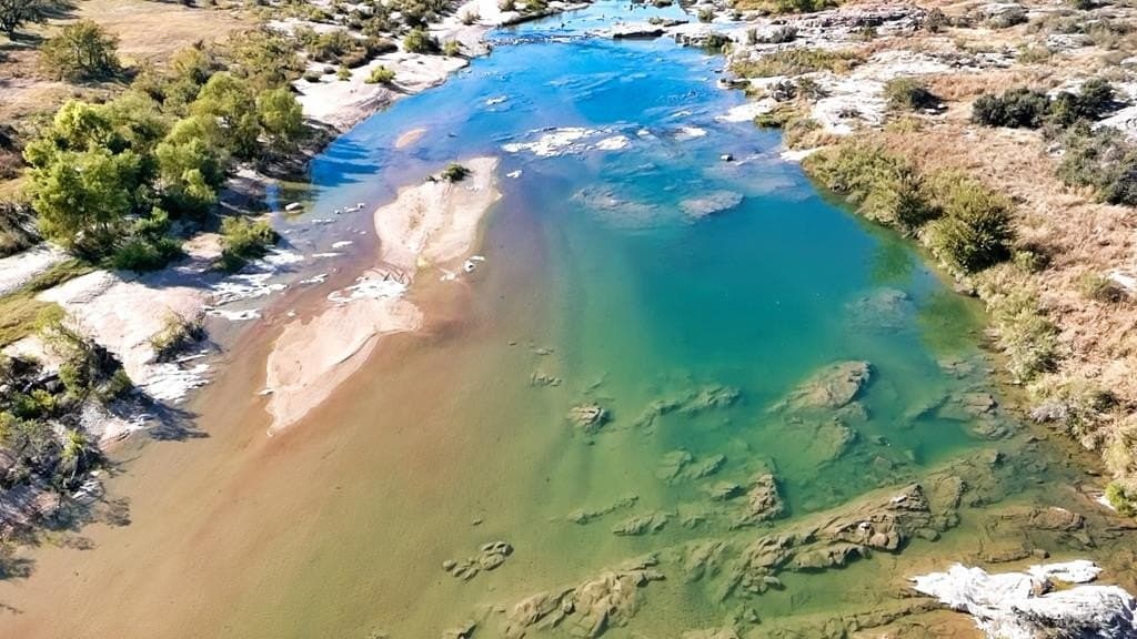 30 acres in Mason County gallery image 3