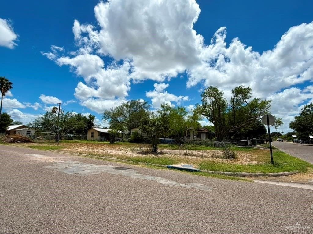0.14 acres in Hidalgo County gallery image 2