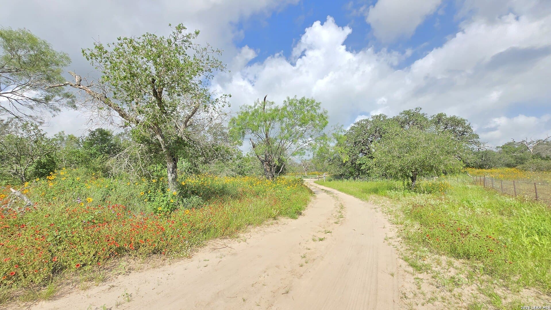 27.67 acres in Atascosa County - photo 10