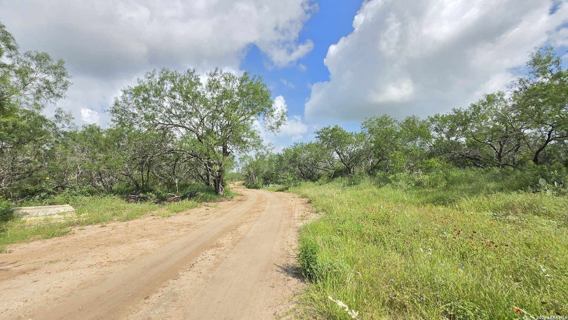27.67 acres in Atascosa County - photo 32
