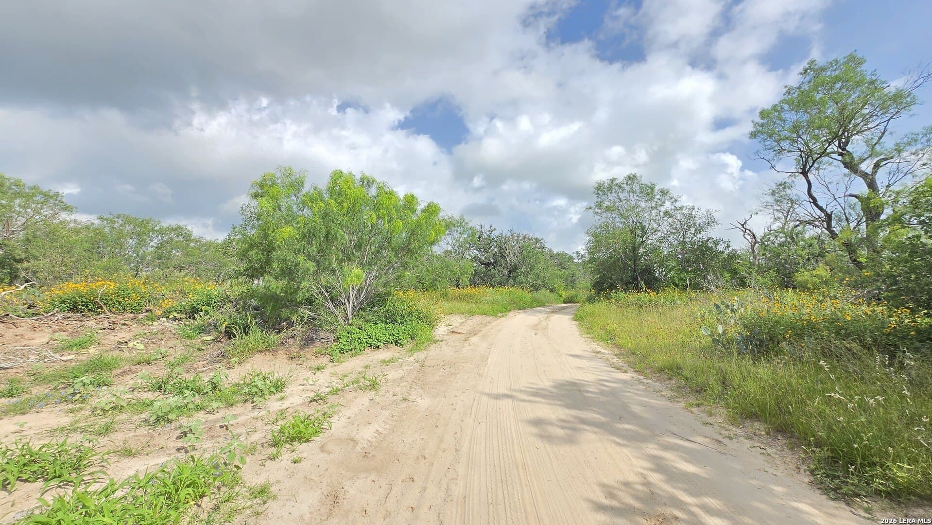 27.67 acres in Atascosa County - photo 11