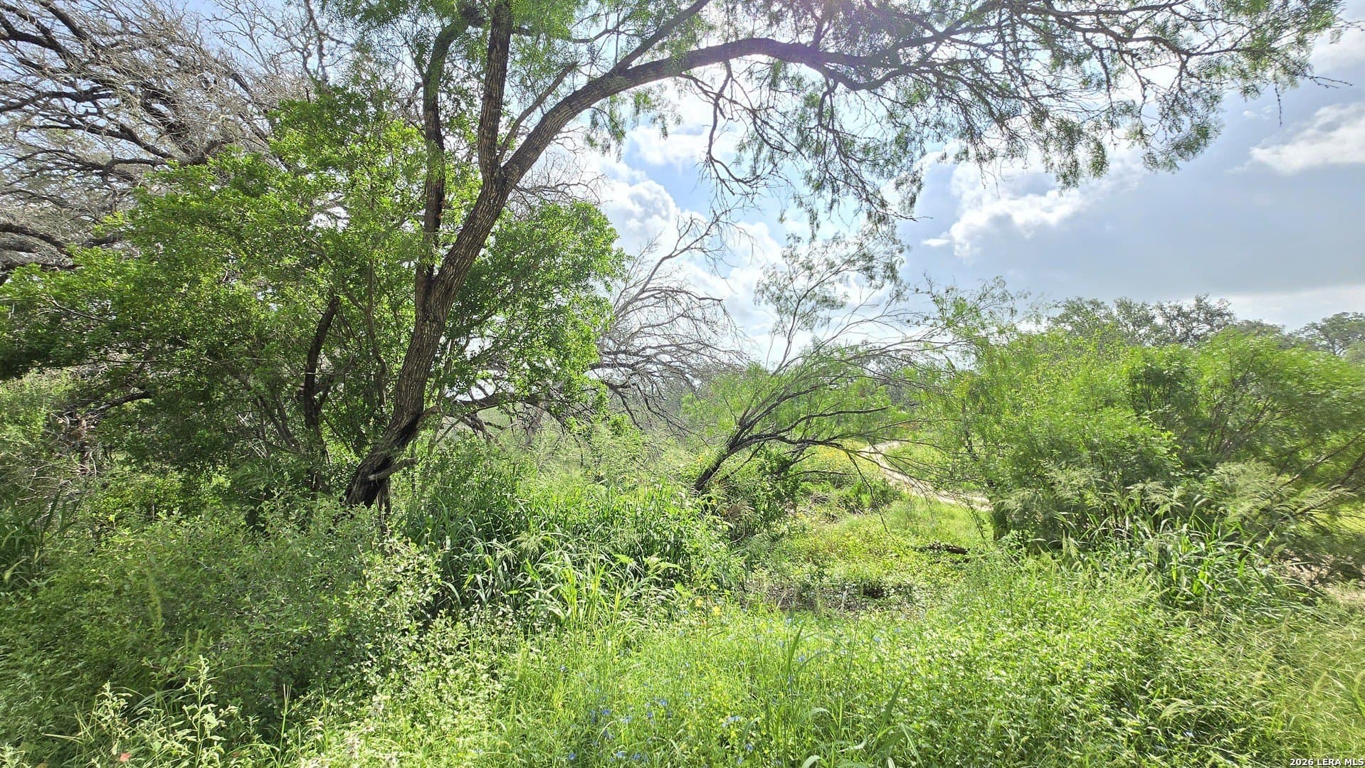 27.67 acres in Atascosa County - photo 7