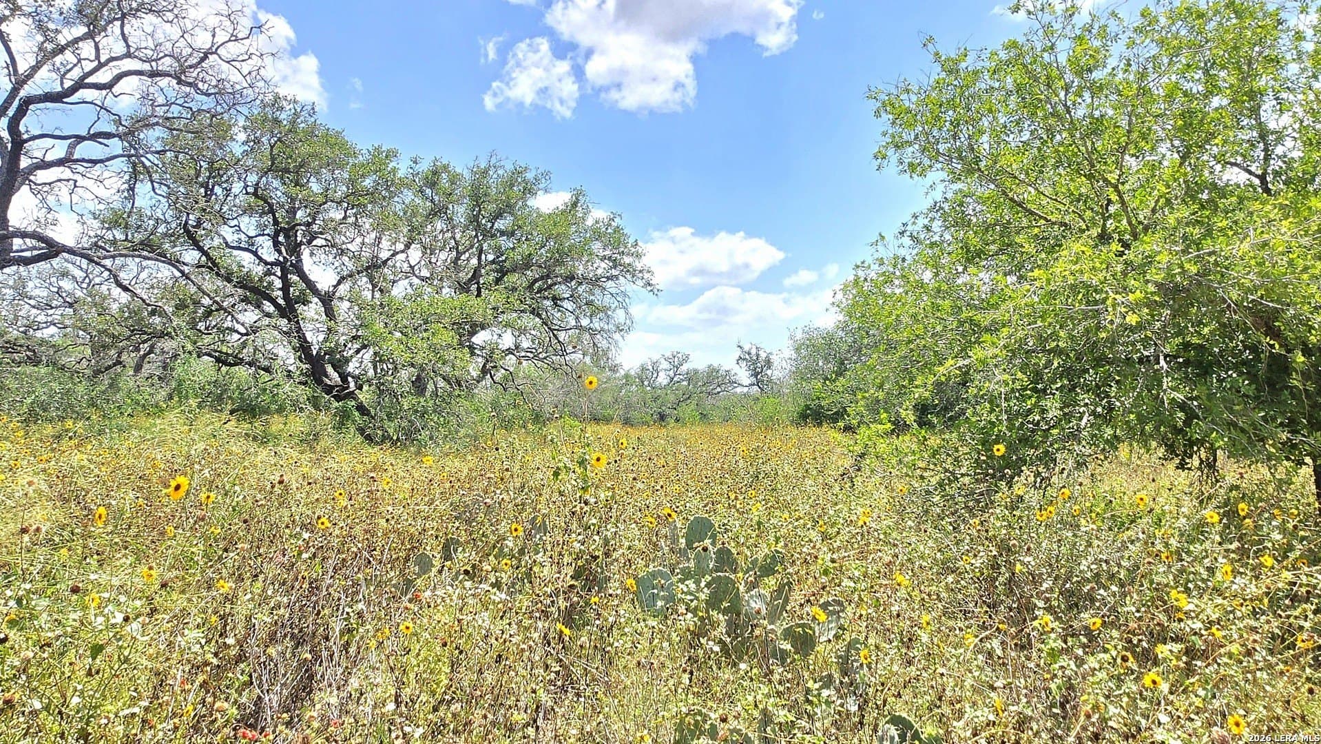27.67 acres in Atascosa County - photo 15