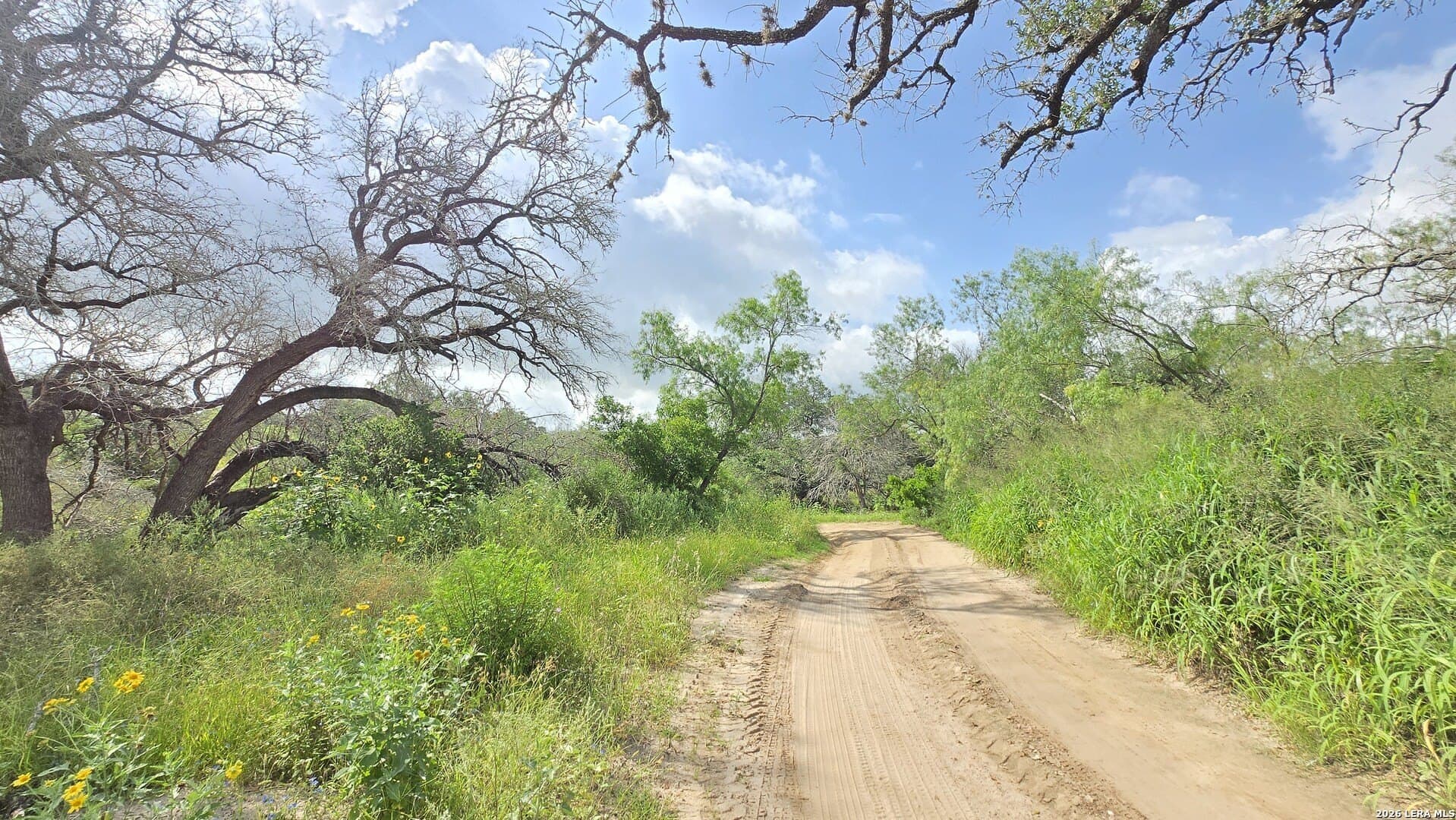 27.67 acres in Atascosa County - photo 31
