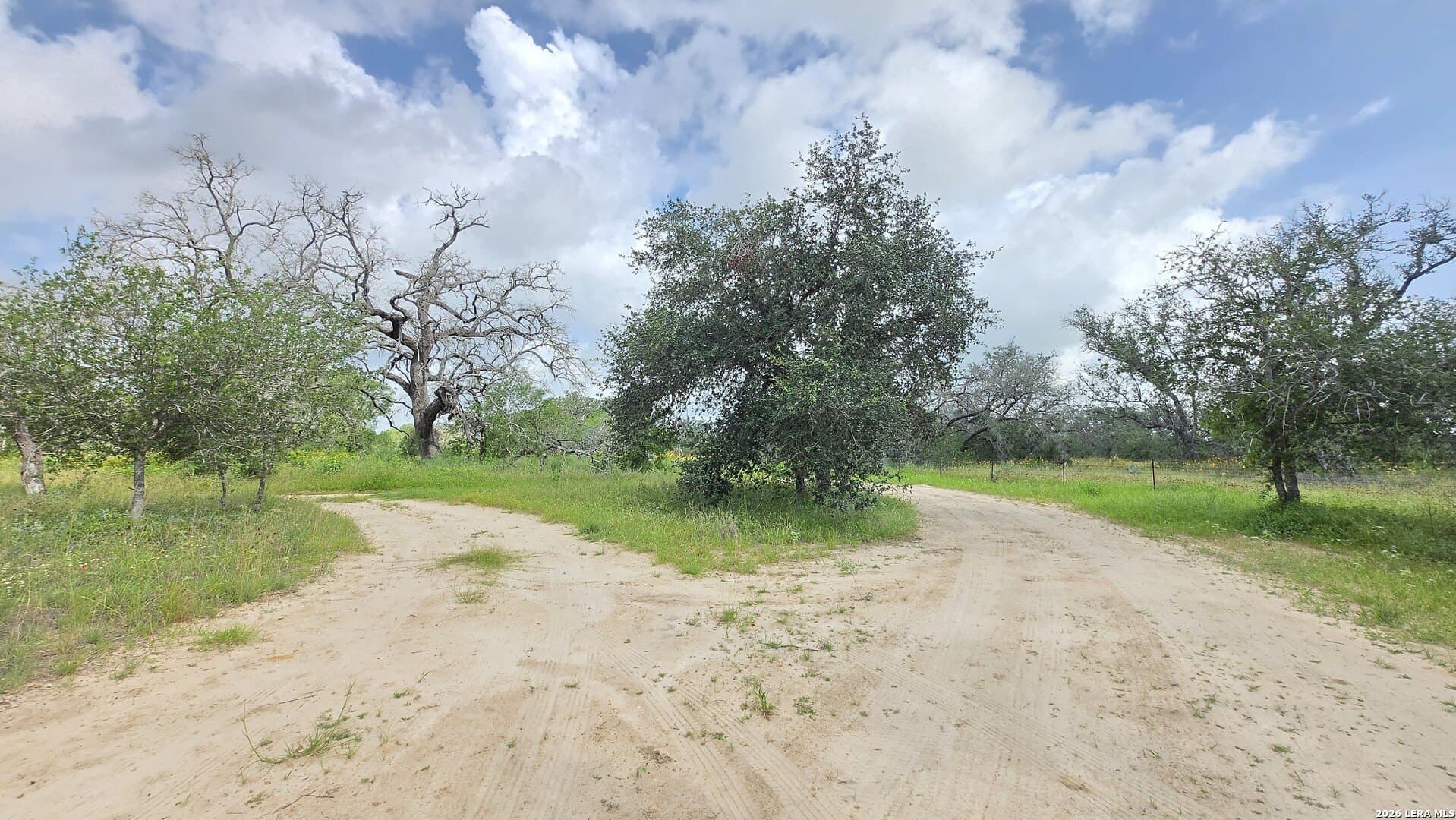 27.67 acres in Atascosa County - photo 9