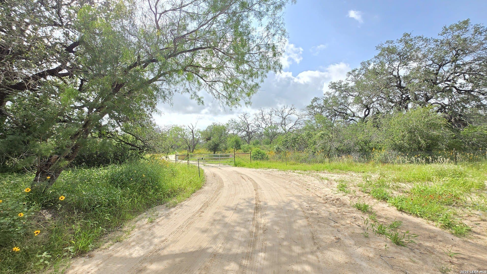 27.67 acres in Atascosa County - photo 12
