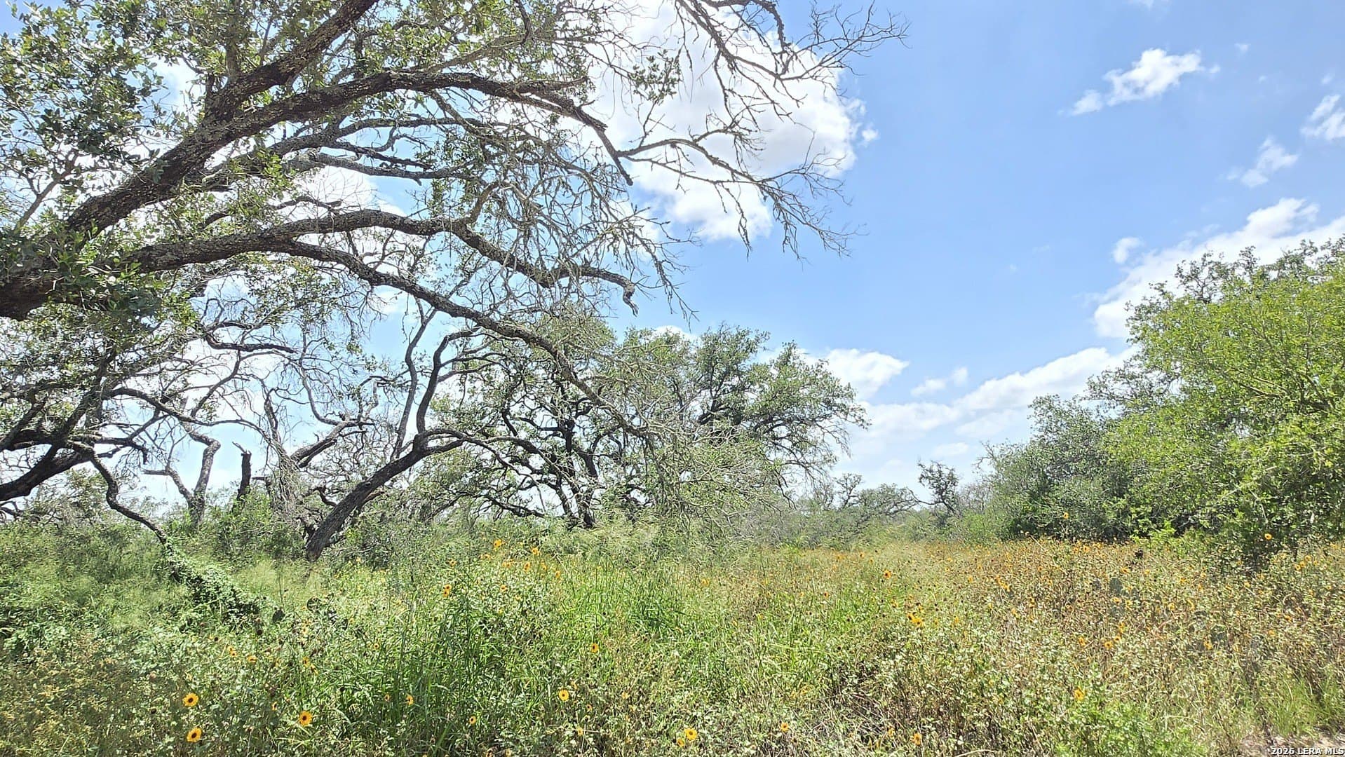 27.67 acres in Atascosa County - photo 28