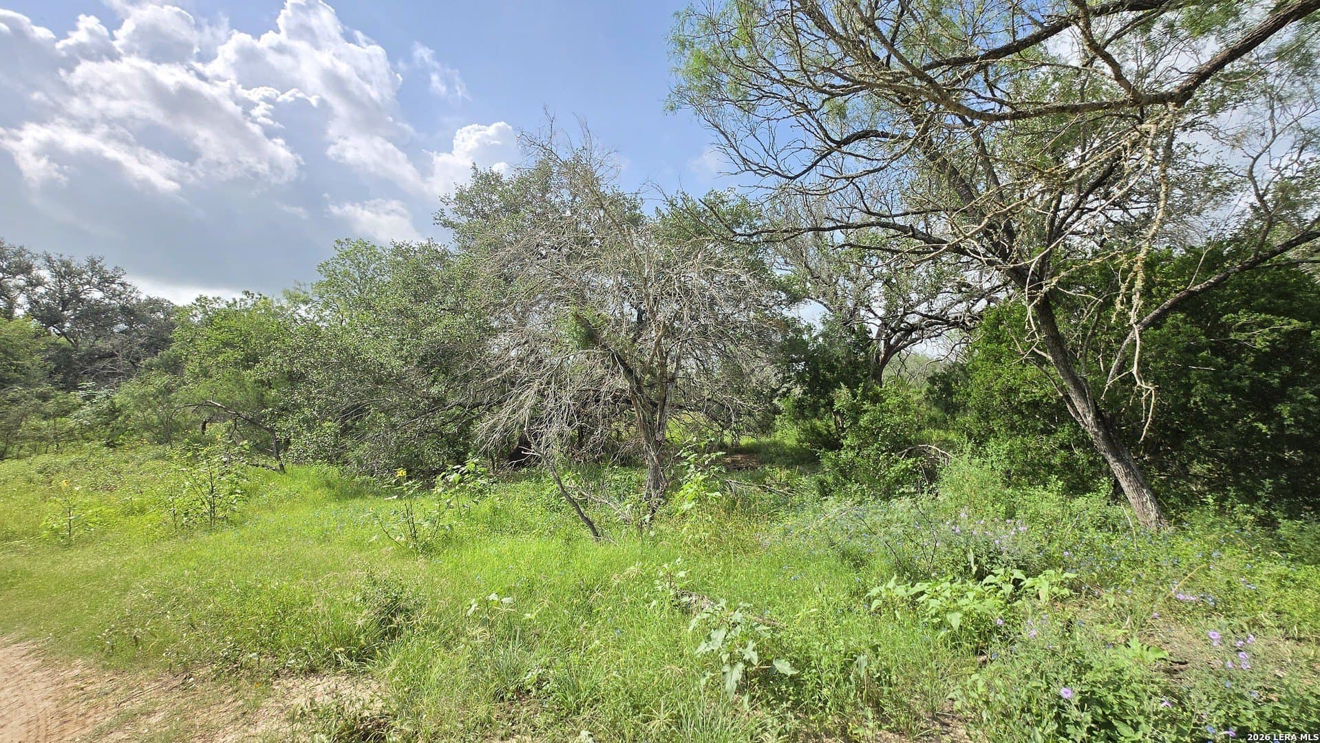 27.67 acres in Atascosa County - photo 6